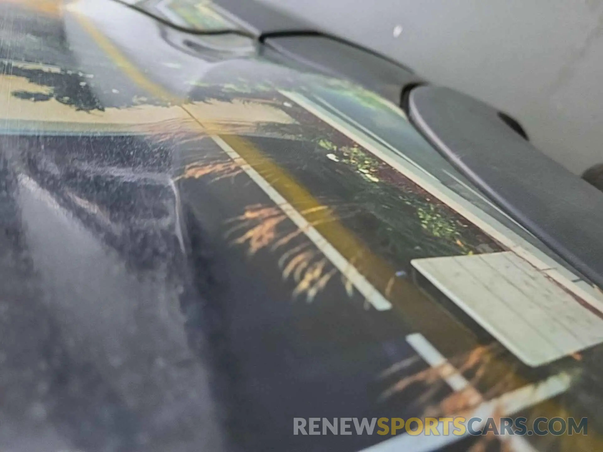 12 Photograph of a damaged car 1FTYR1YGXKKA40836 FORD TRANSIT 2019