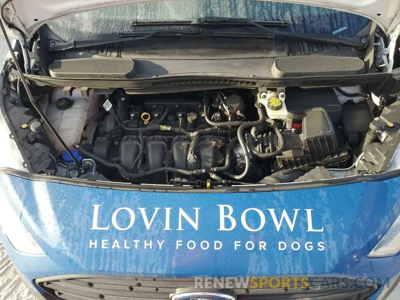 12 Photograph of a damaged car NM0LS7E27K1418527 FORD TRANSIT 2019
