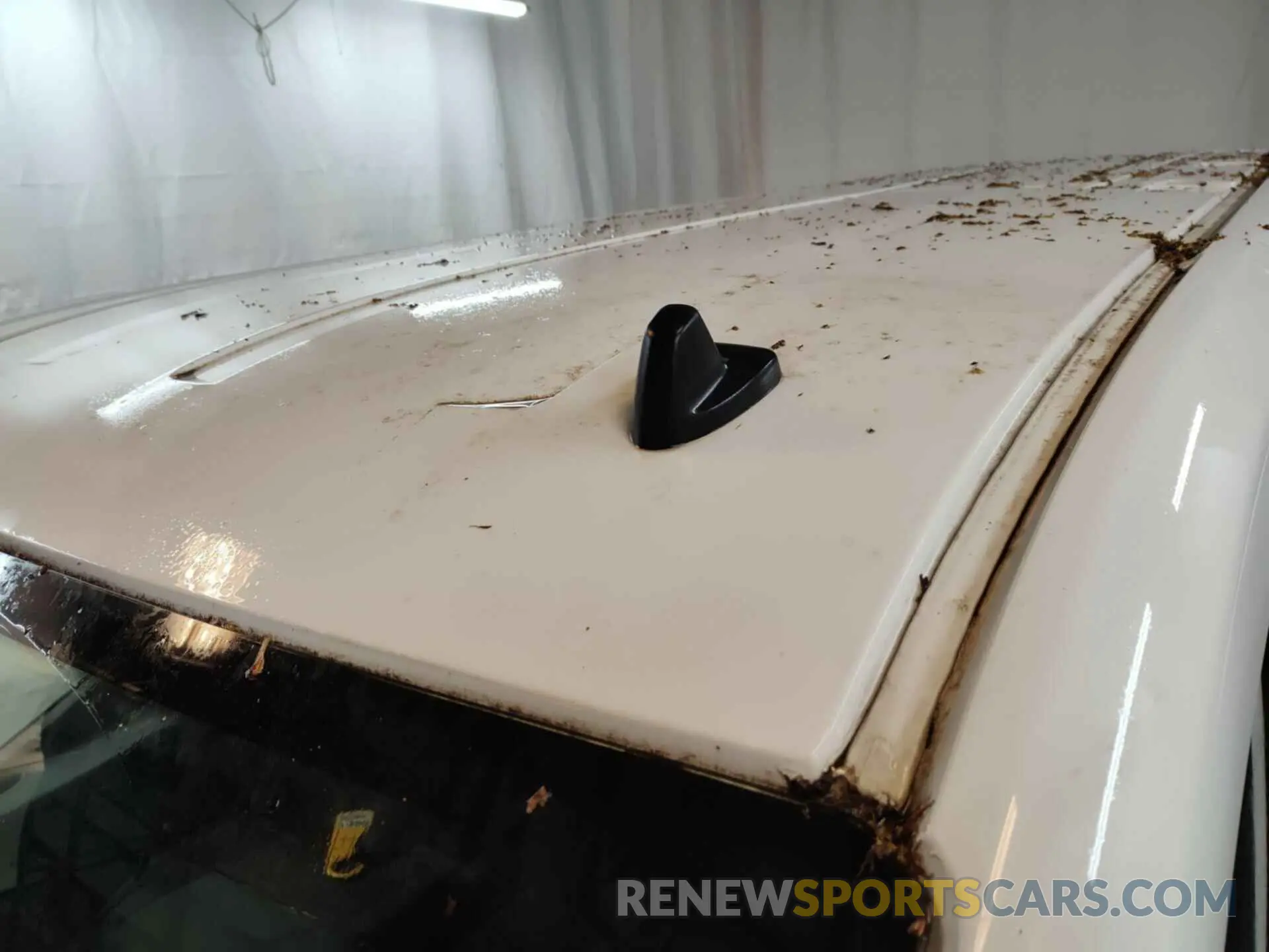 17 Photograph of a damaged car 1FTBR1Y83LKB79478 FORD TRANSIT 2020