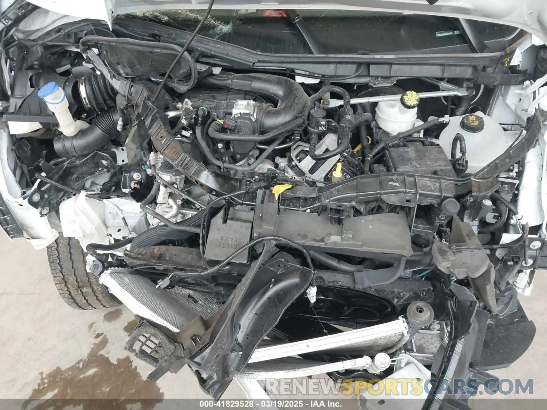 10 Photograph of a damaged car 1FTBR2C82RKA94637 FORD TRANSIT-250 2024