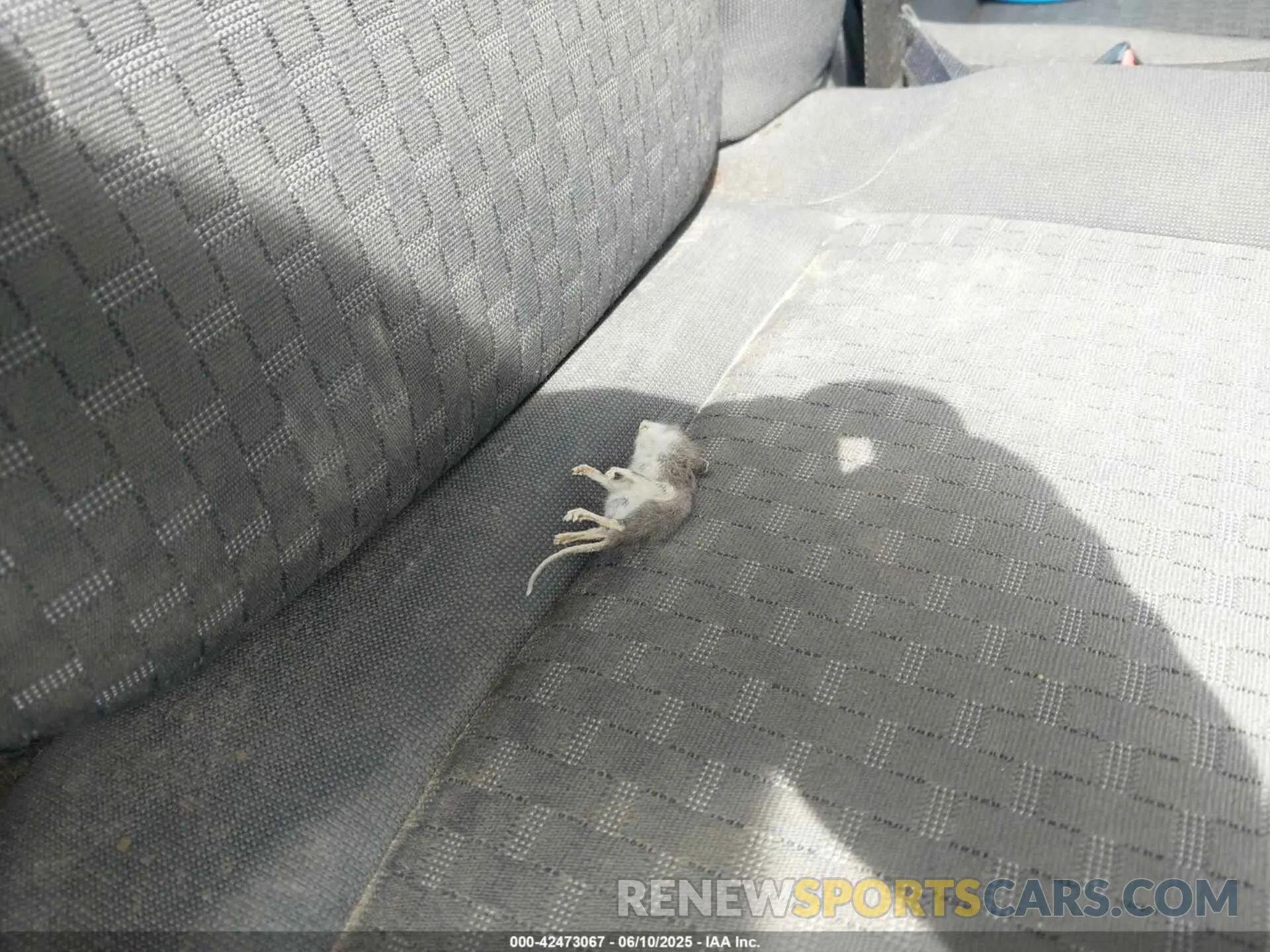 17 Photograph of a damaged car 1FBAX2C81PKA94146 FORD TRANSIT-350 PASSENGER VAN 2023