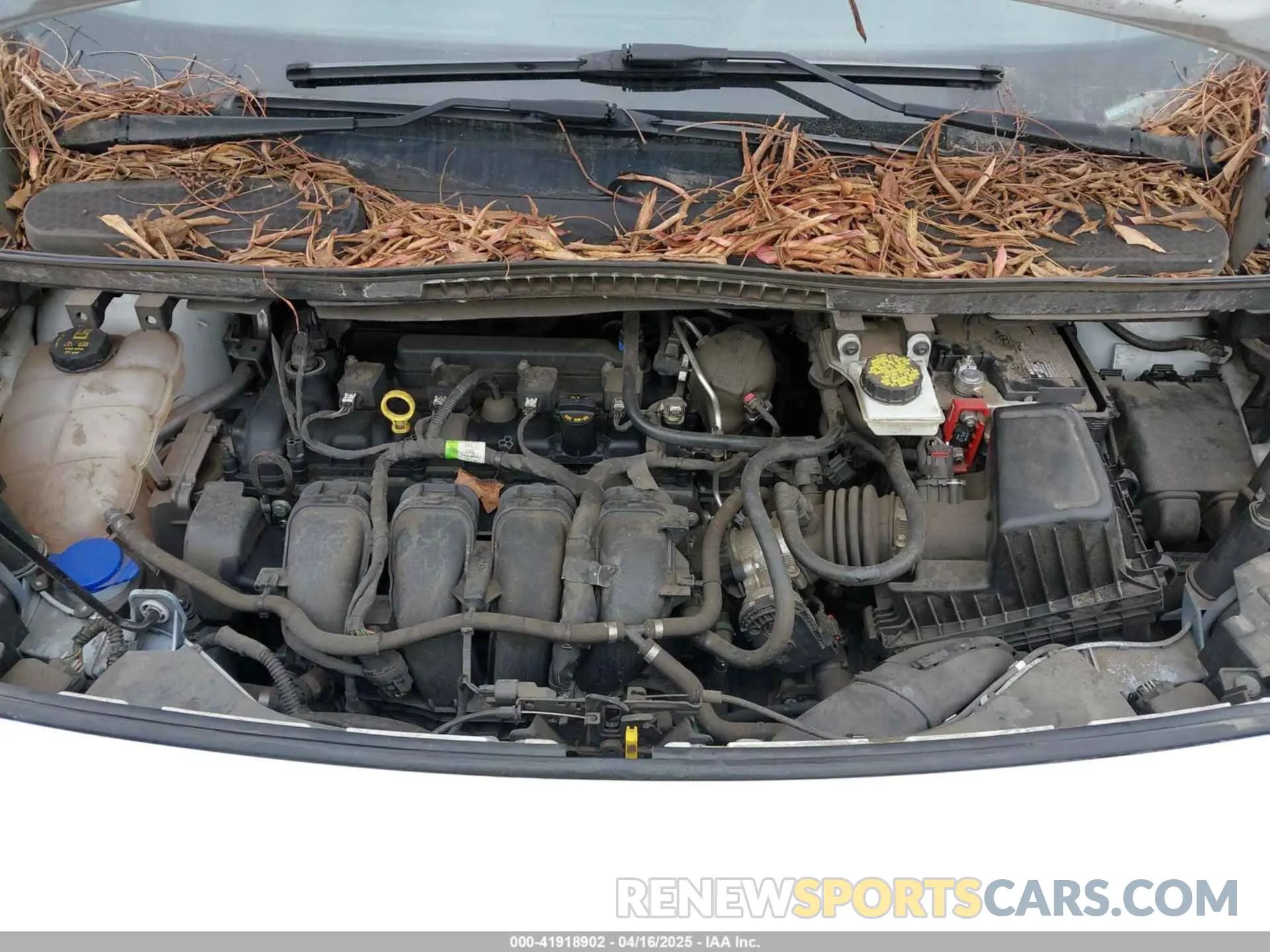 10 Photograph of a damaged car NM0LE7E20K1431420 FORD TRANSIT CONNECT 2019