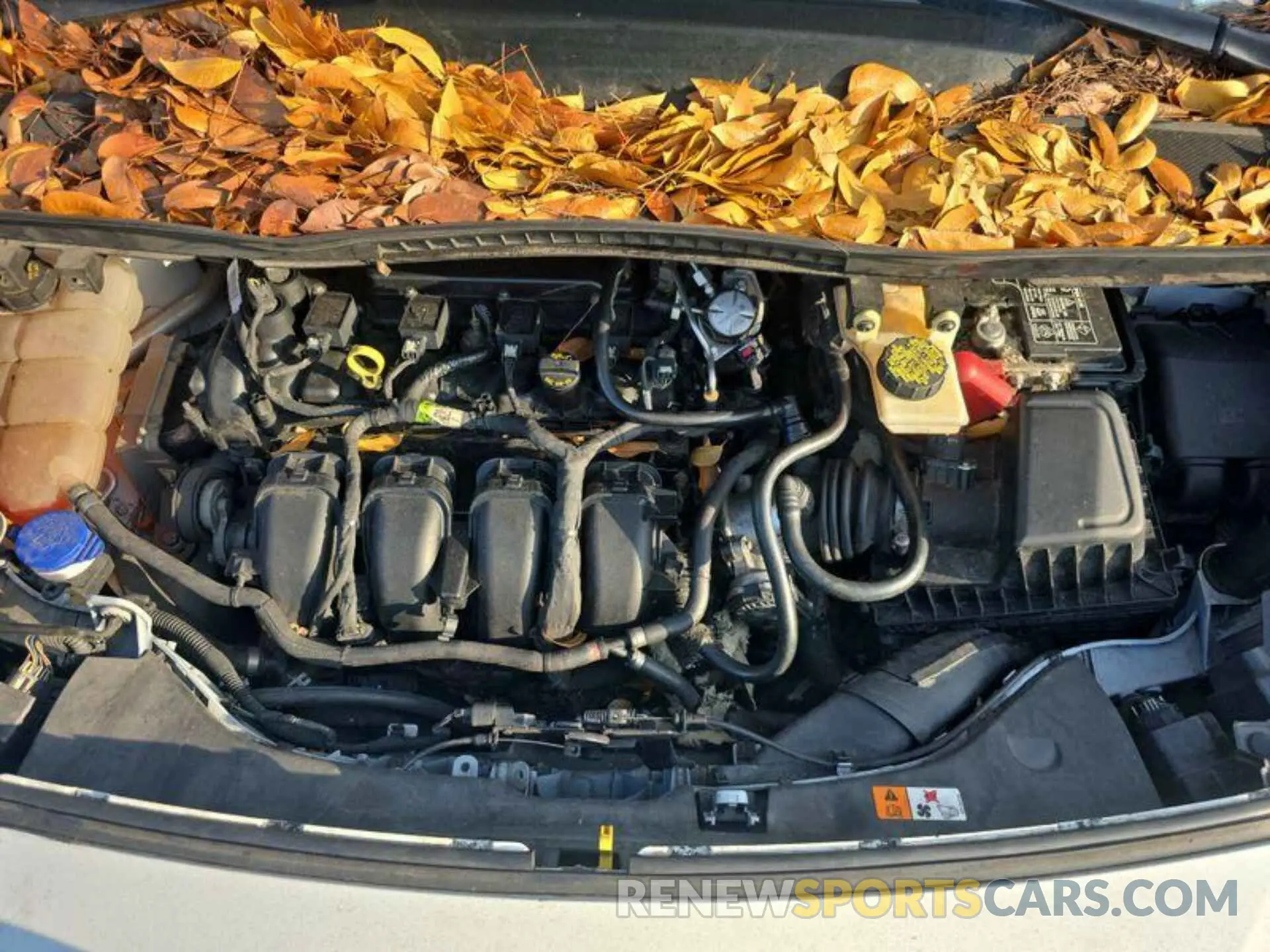 24 Photograph of a damaged car NM0LS7E23K1396168 FORD TRANSIT CONNECT 2019
