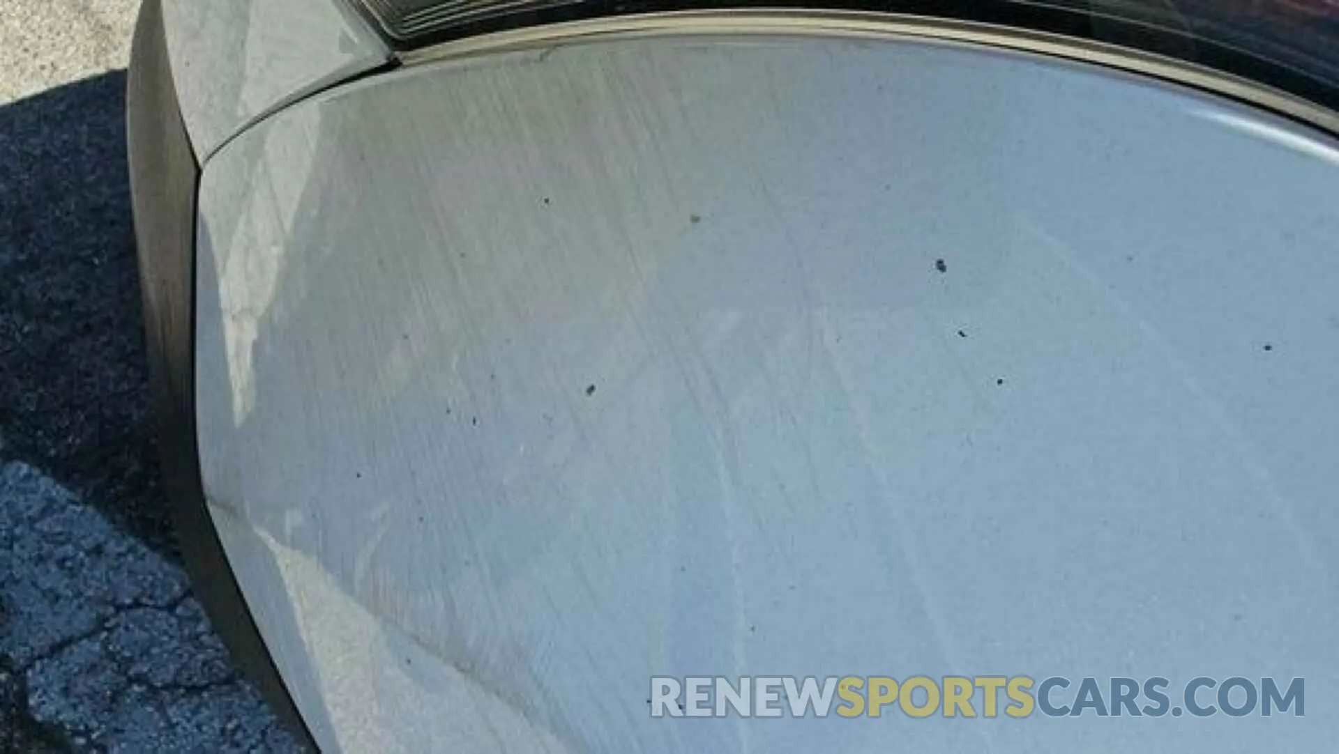 24 Photograph of a damaged car NM0LS7E26K1389120 FORD TRANSIT CONNECT 2019