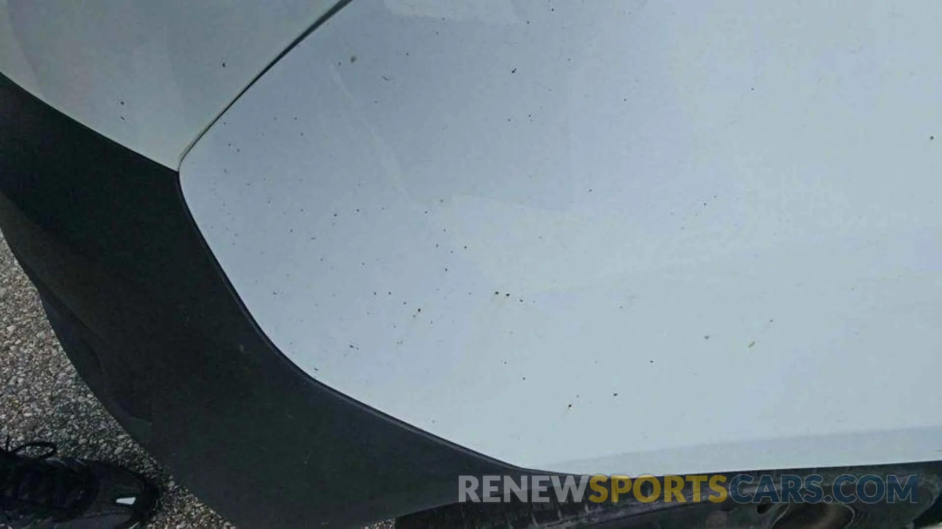16 Photograph of a damaged car NM0LS7E26K1410399 FORD TRANSIT CONNECT 2019