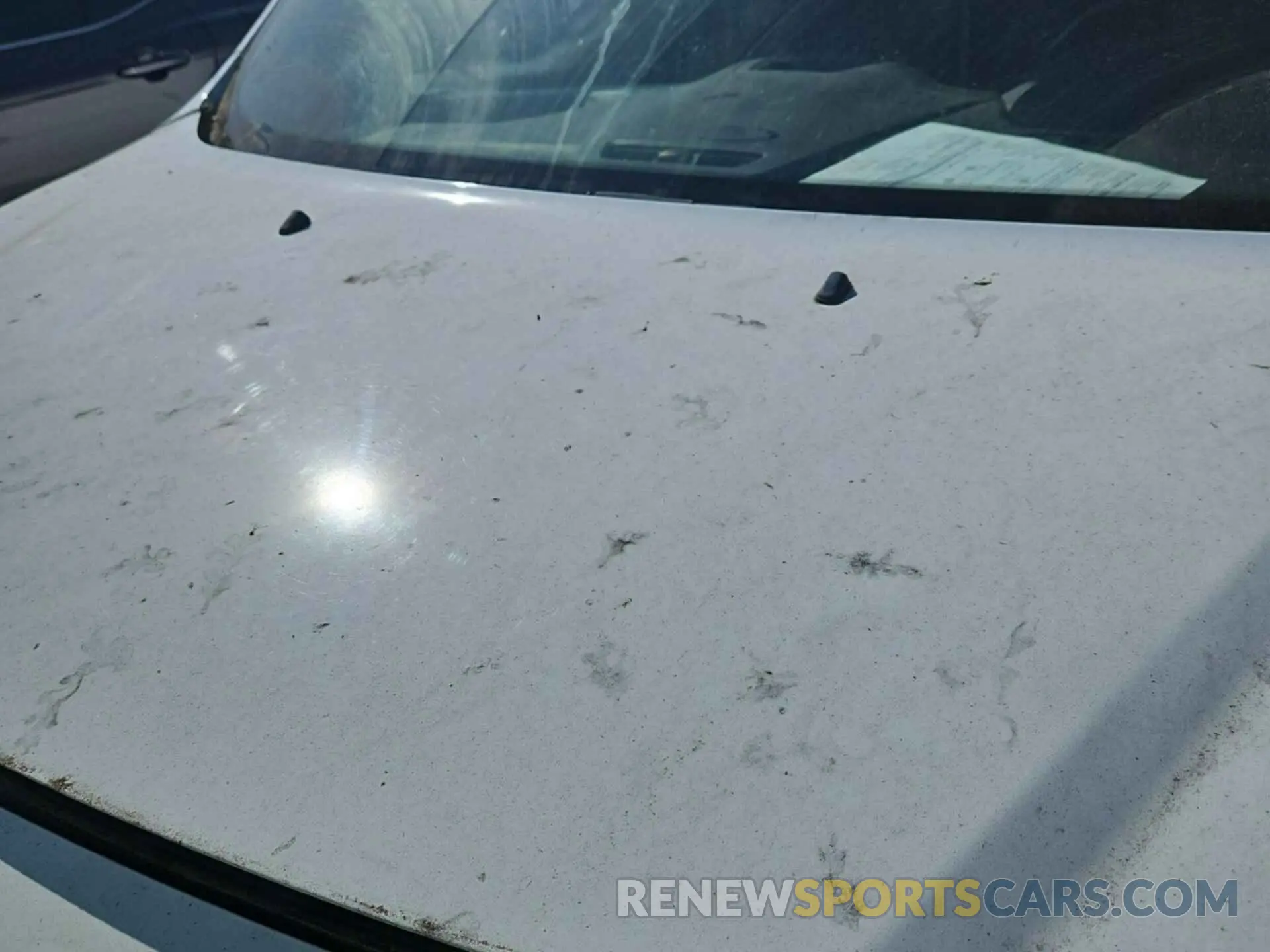 50 Photograph of a damaged car NM0LS7E28K1389698 FORD TRANSIT CONNECT 2019