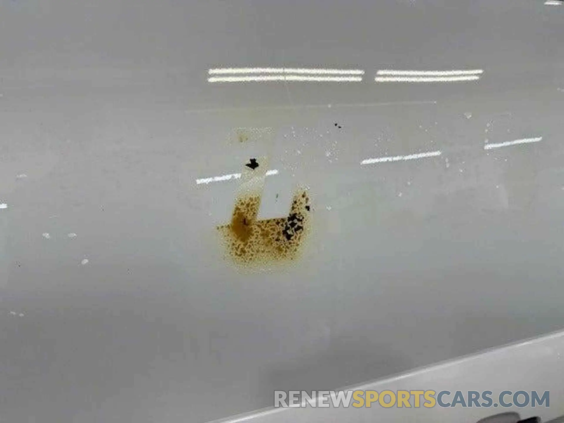 21 Photograph of a damaged car NM0LS7F71K1427654 FORD TRANSIT CONNECT 2019