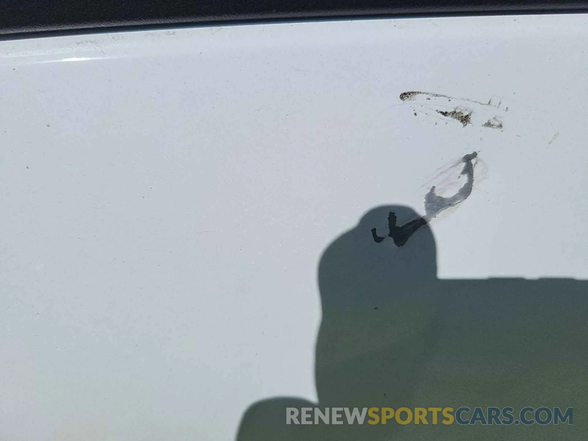 12 Photograph of a damaged car NM0LS7E24M1501920 FORD TRANSIT CONNECT 2021