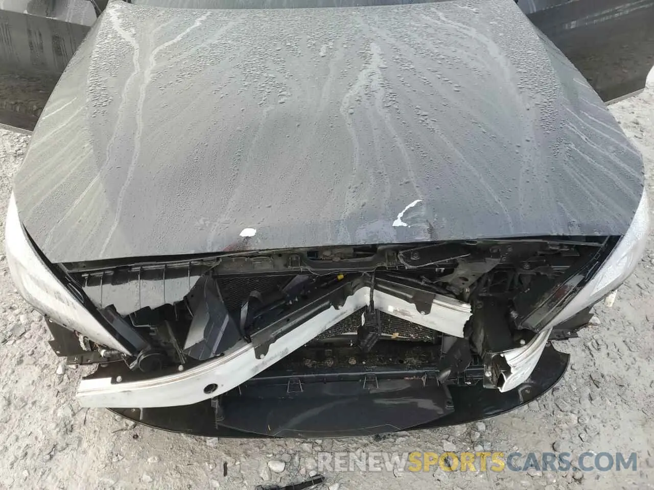 12 Photograph of a damaged car KMHGN4JE4KU291871 GENESIS G80 2019