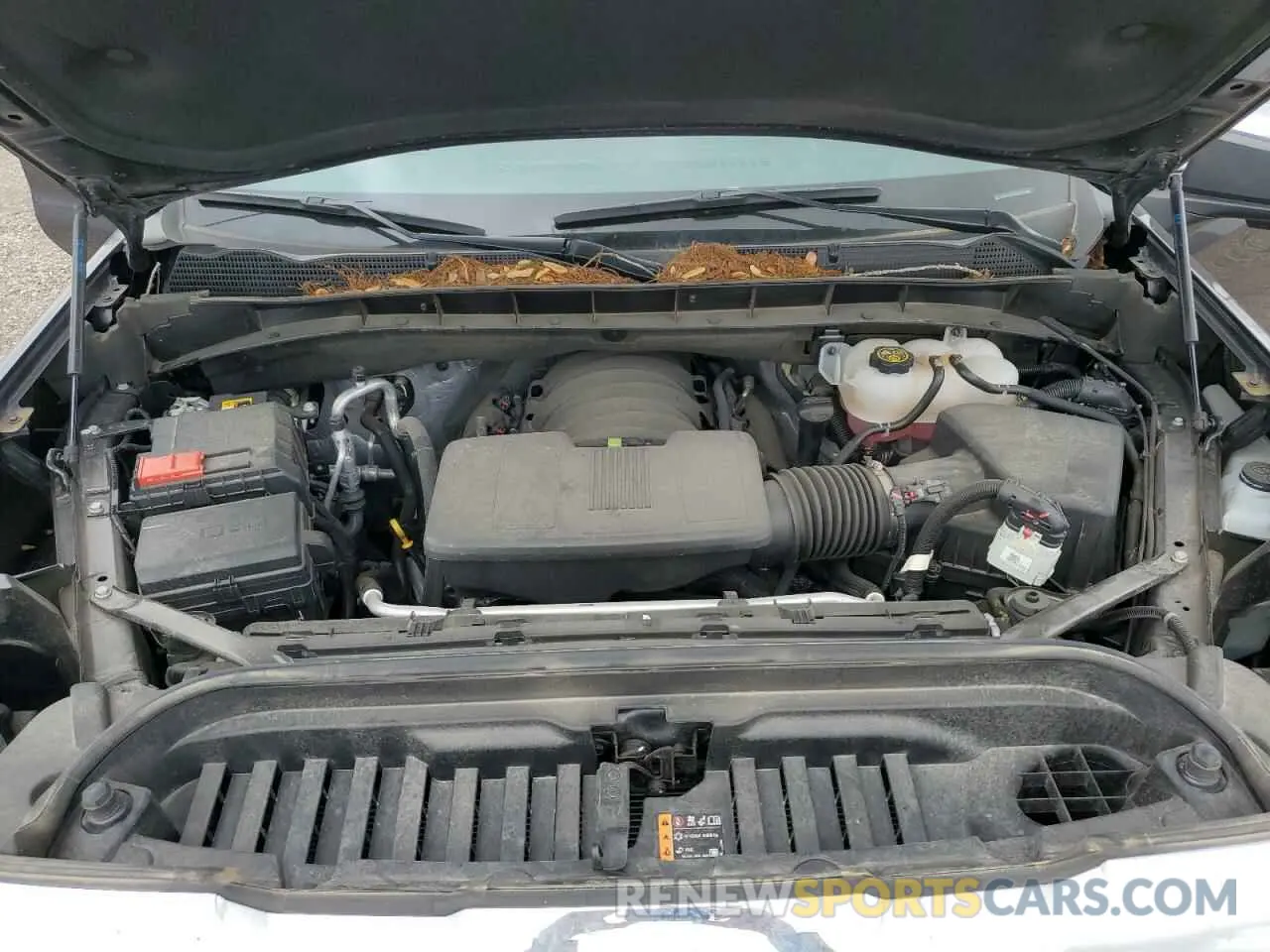 11 Photograph of a damaged car 3GTUUDED9PG303888 GMC SIERRA 2023