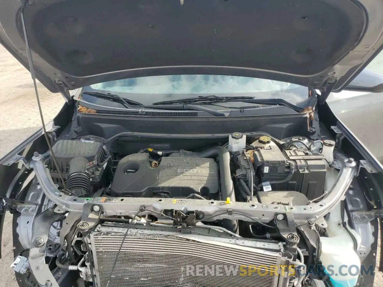 12 Photograph of a damaged car 3GKALMEV0KL231028 GMC TERRAIN 2019