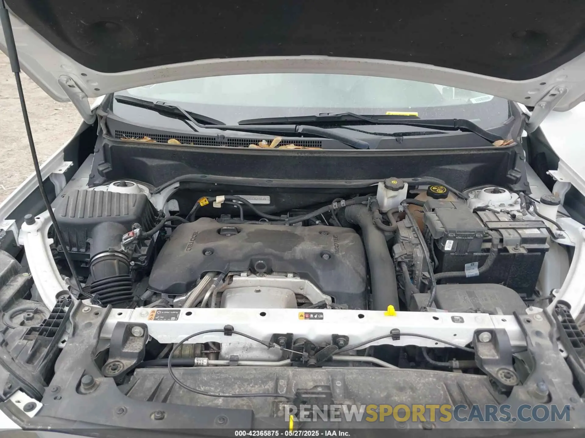 10 Photograph of a damaged car 3GKALPEX3KL134814 GMC TERRAIN 2019