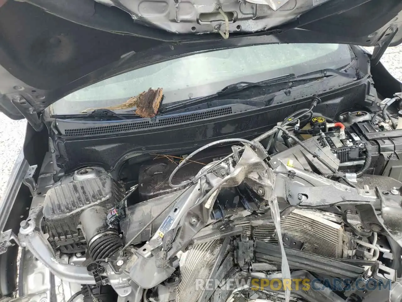 12 Photograph of a damaged car 3GKALTEV7KL177723 GMC TERRAIN 2019