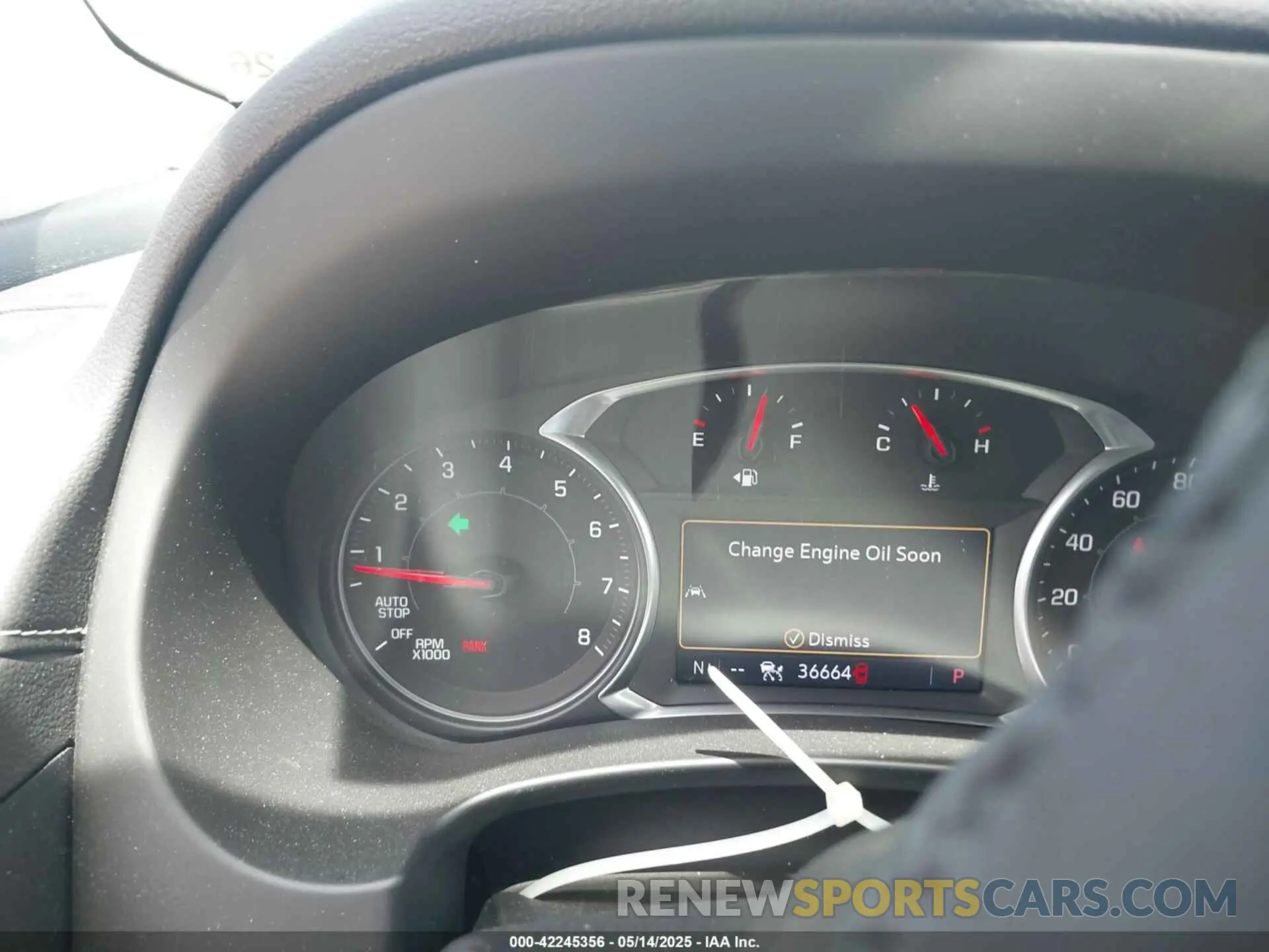 7 Photograph of a damaged car 3GKALXEX9KL150595 GMC TERRAIN 2019