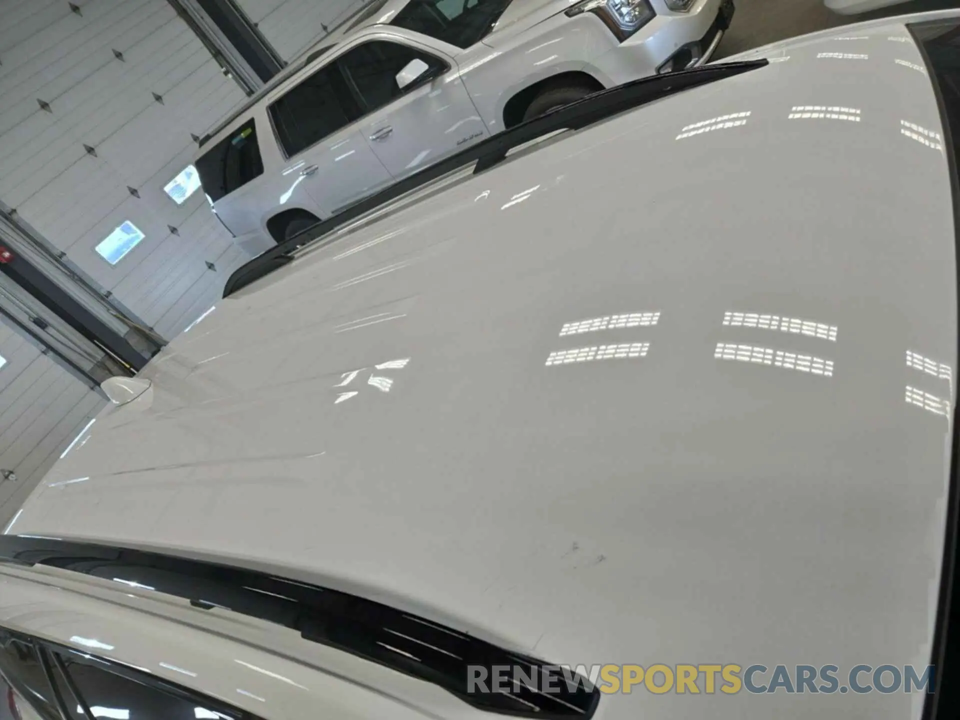 19 Photograph of a damaged car 3GKALTEG9RL185513 GMC TERRAIN 2024