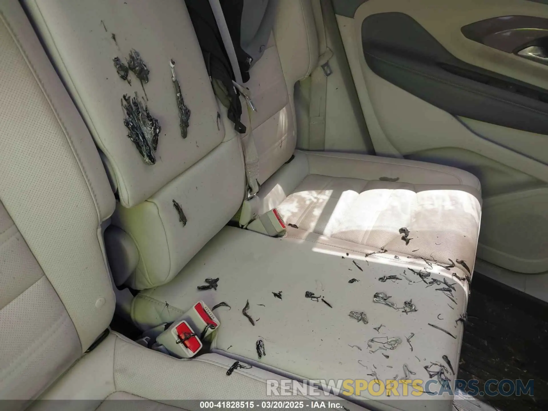 12 Photograph of a damaged car 3GKALXEG3RL213359 GMC TERRAIN 2024