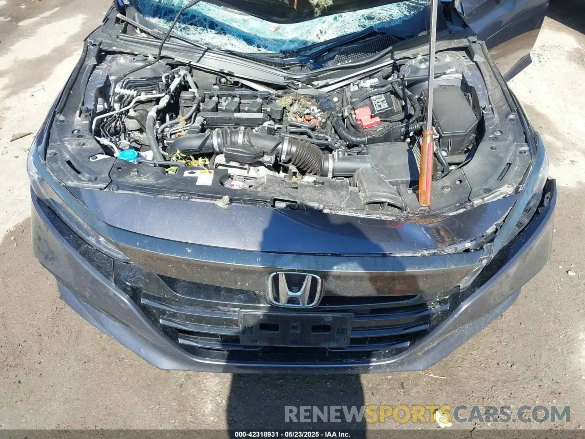 10 Photograph of a damaged car 1HGCV1E3XKA166905 HONDA ACCORD 2019