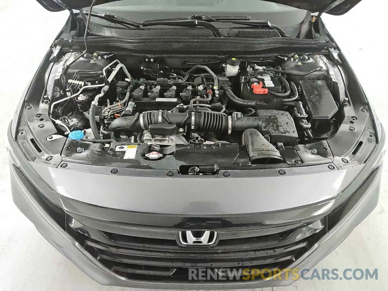 11 Photograph of a damaged car 1HGCV1F10KA106046 HONDA ACCORD 2019