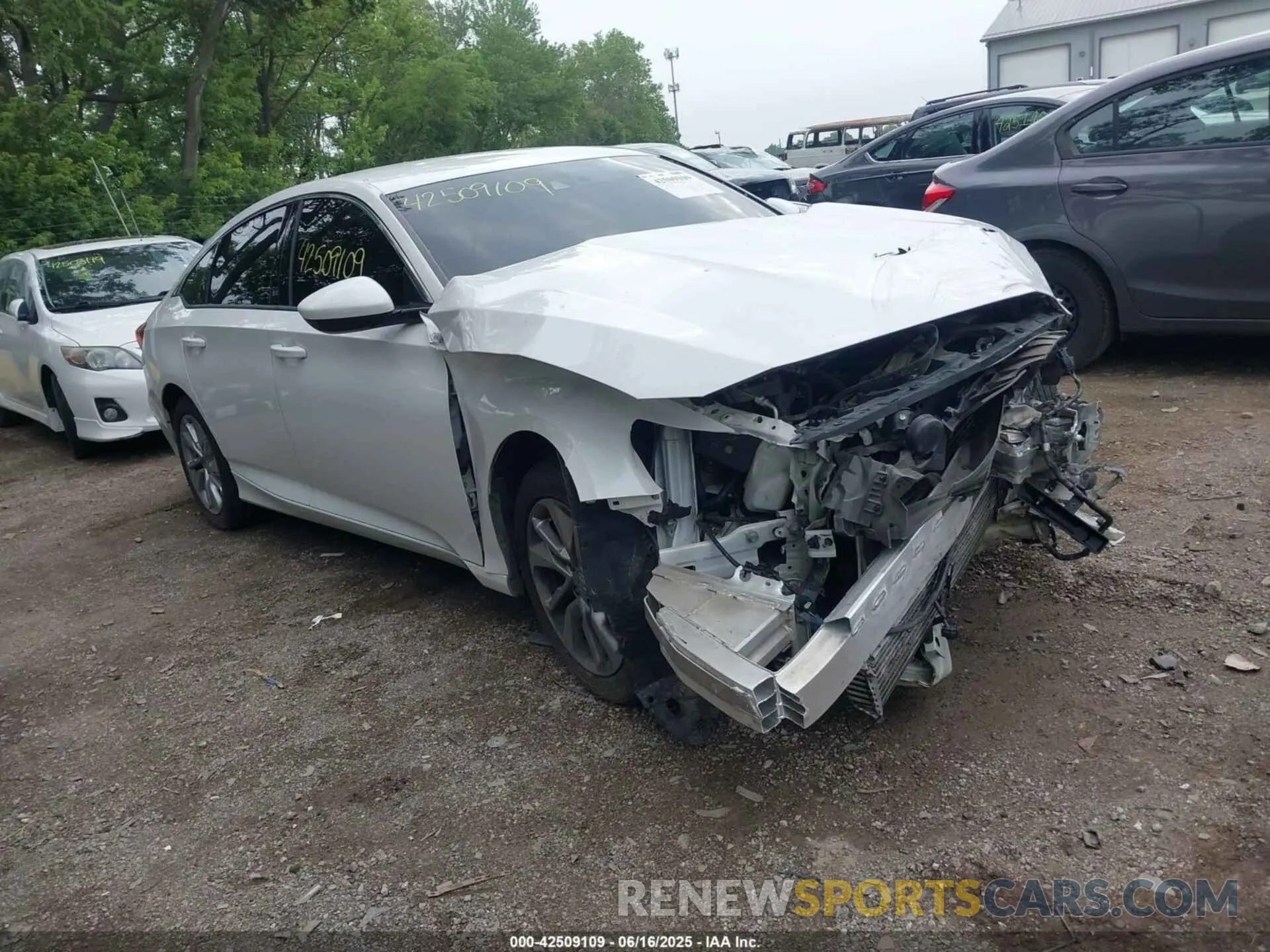 1 Photograph of a damaged car 1HGCV1F11KA098698 HONDA ACCORD 2019