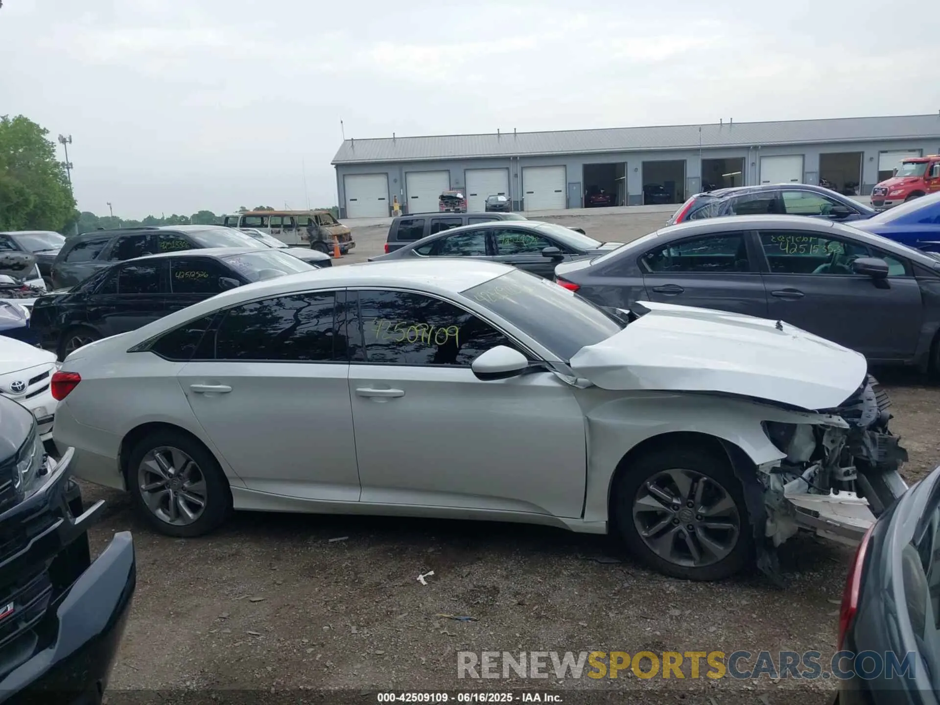 13 Photograph of a damaged car 1HGCV1F11KA098698 HONDA ACCORD 2019