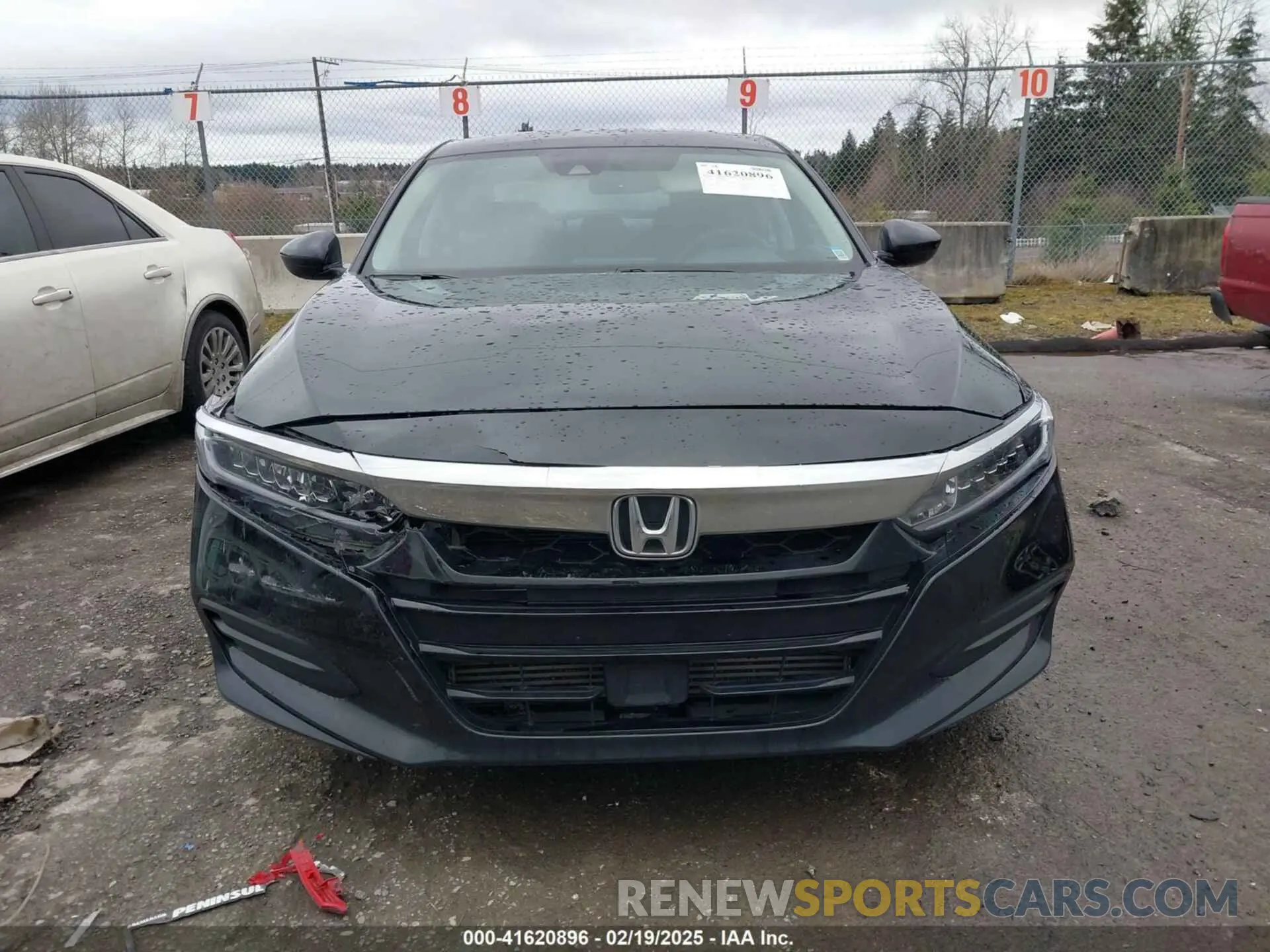12 Photograph of a damaged car 1HGCV1F12KA006059 HONDA ACCORD 2019