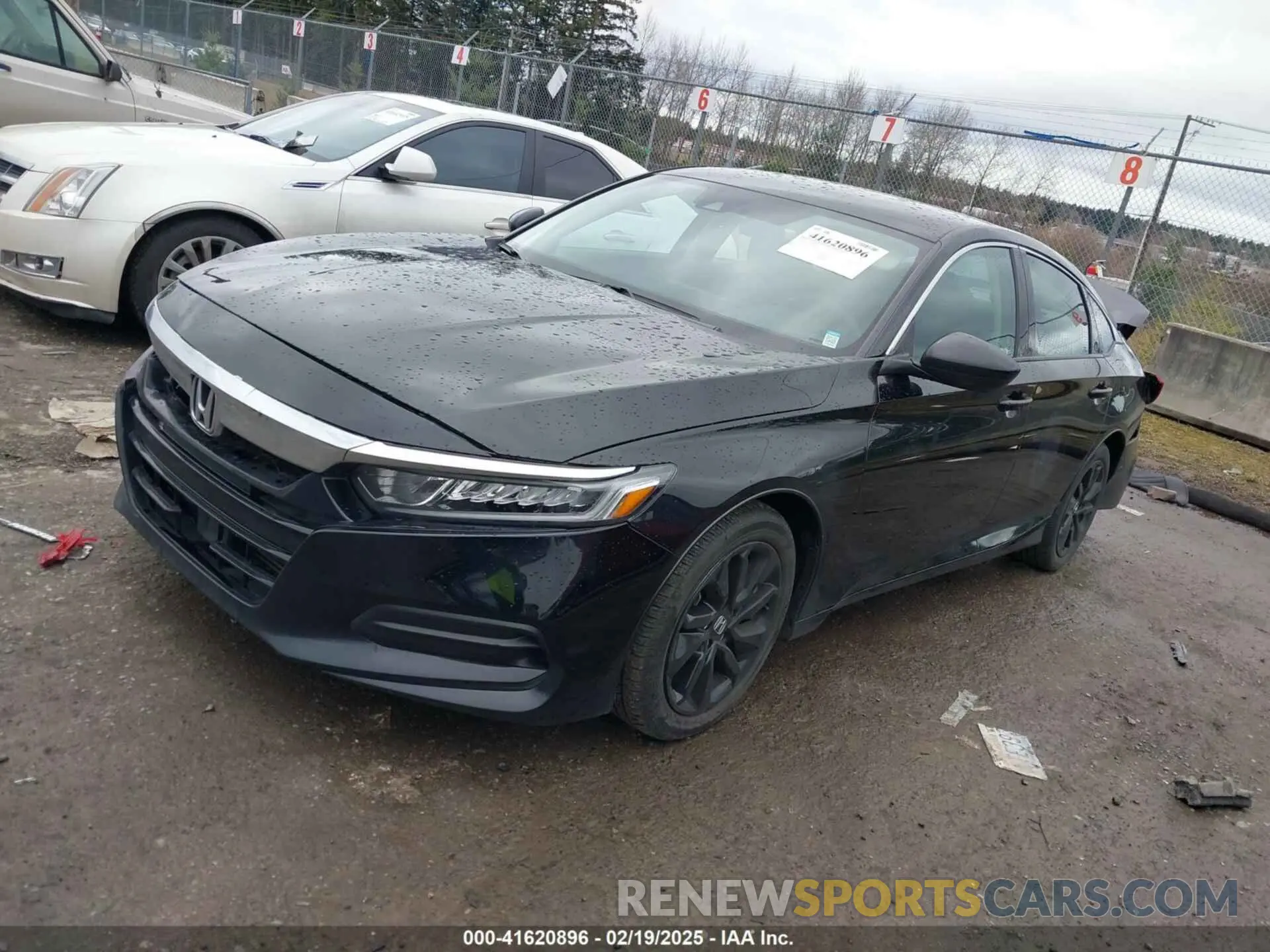 2 Photograph of a damaged car 1HGCV1F12KA006059 HONDA ACCORD 2019