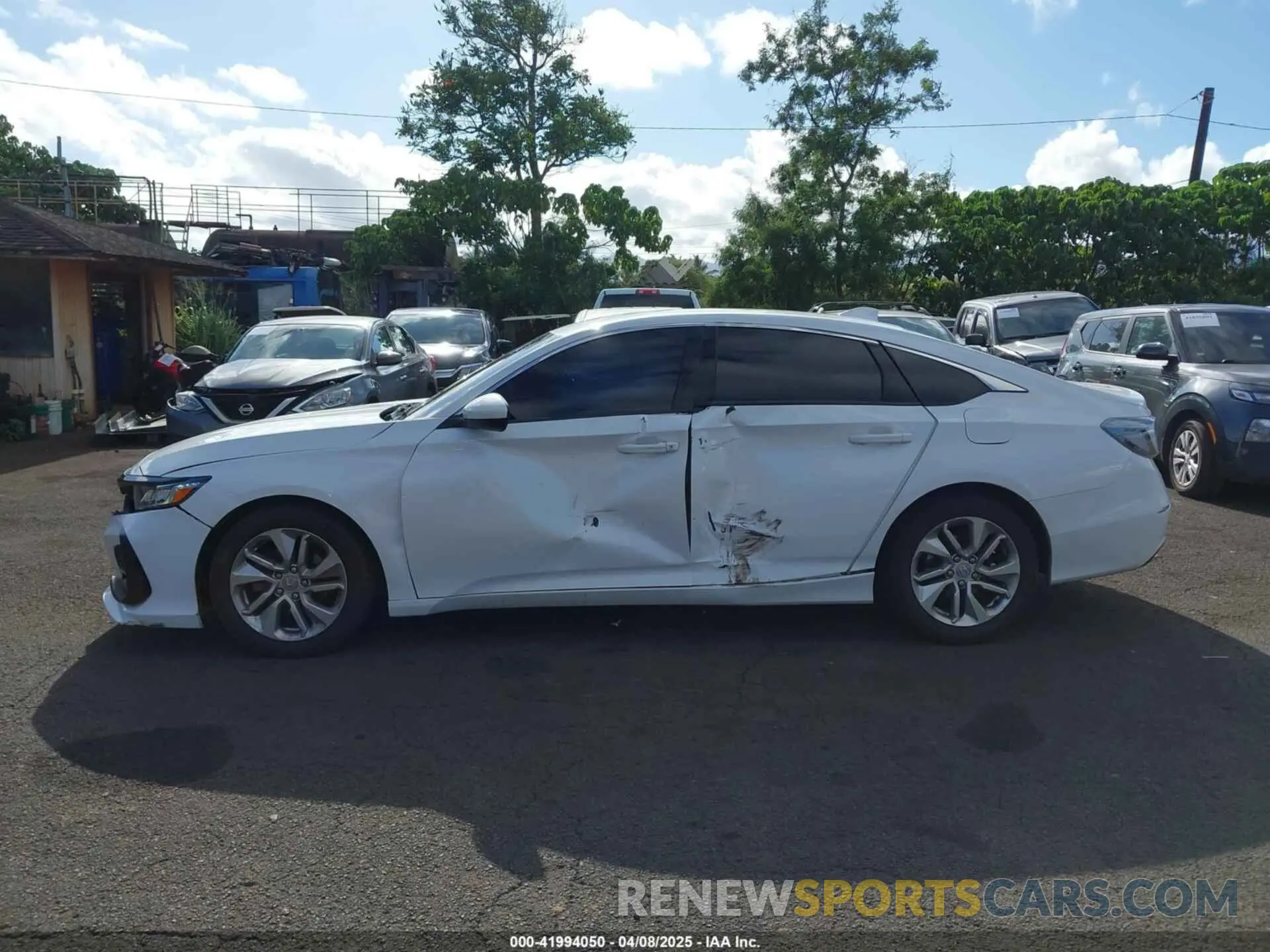 14 Photograph of a damaged car 1HGCV1F12KA030524 HONDA ACCORD 2019