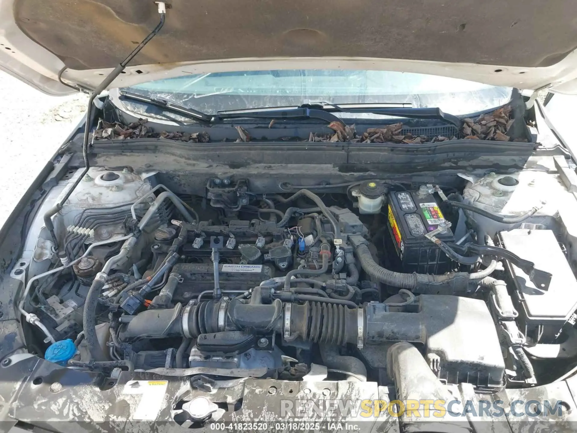 10 Photograph of a damaged car 1HGCV1F12KA117517 HONDA ACCORD 2019