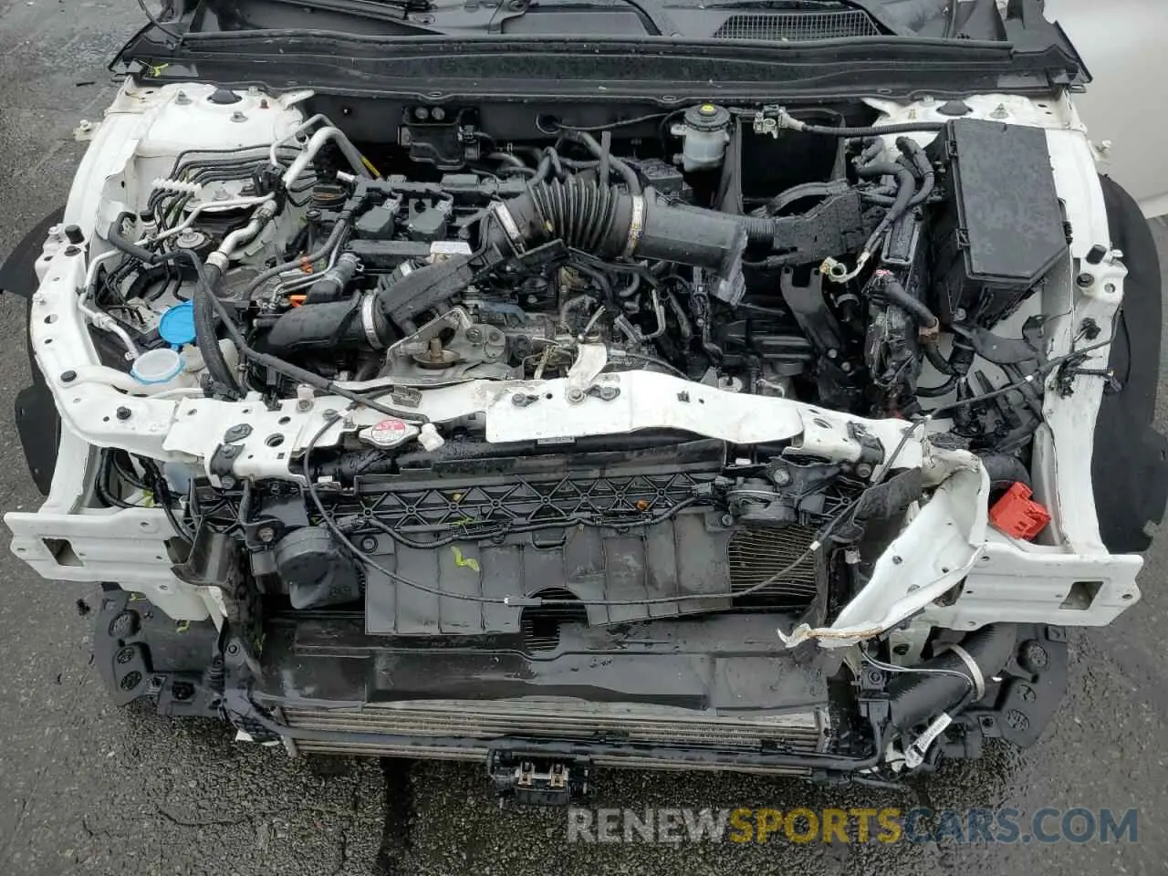 11 Photograph of a damaged car 1HGCV1F12KA128467 HONDA ACCORD 2019