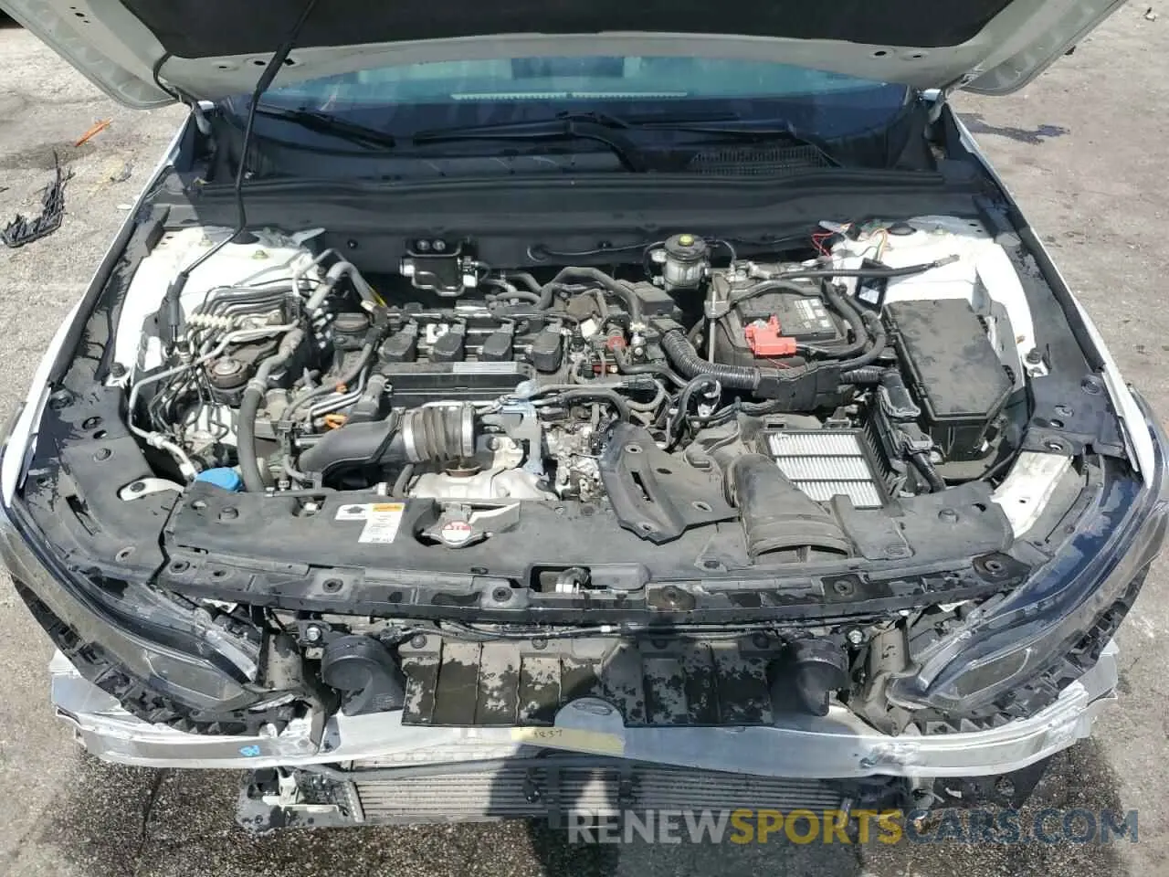 11 Photograph of a damaged car 1HGCV1F13KA091851 HONDA ACCORD 2019