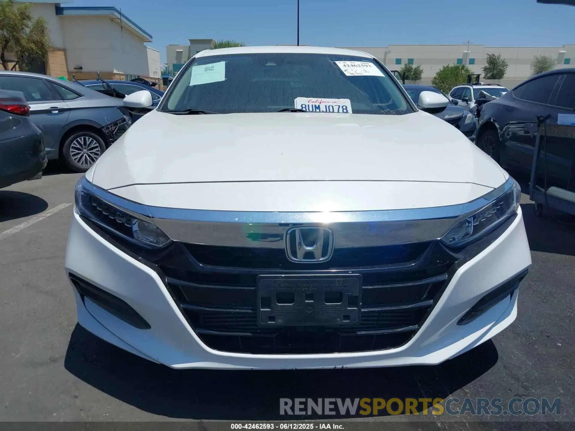 12 Photograph of a damaged car 1HGCV1F14KA116059 HONDA ACCORD 2019