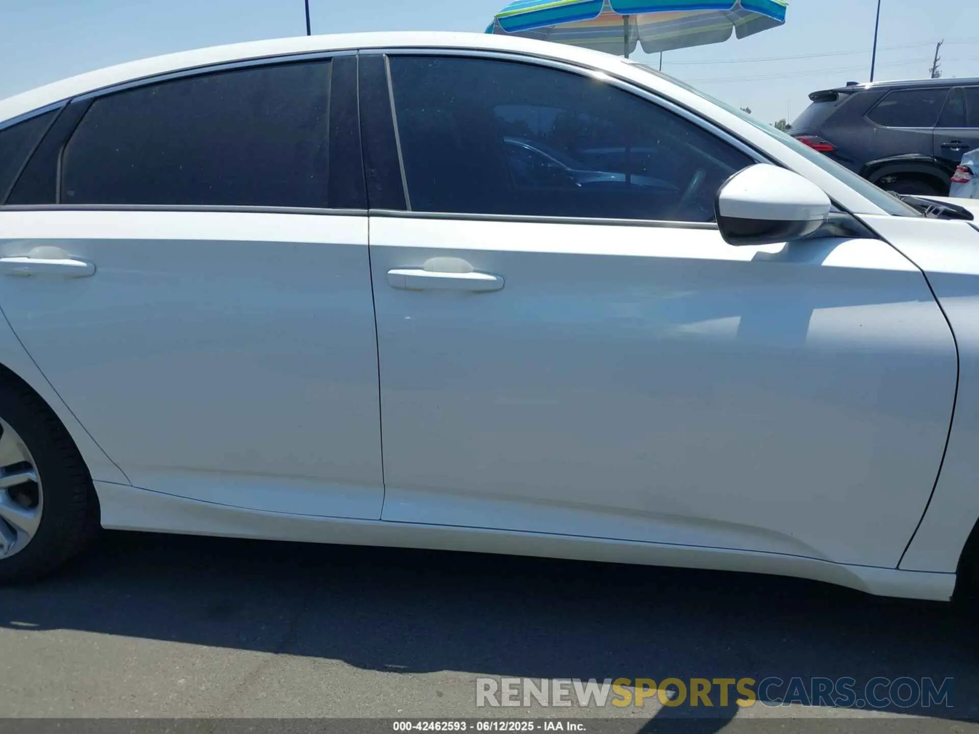 13 Photograph of a damaged car 1HGCV1F14KA116059 HONDA ACCORD 2019