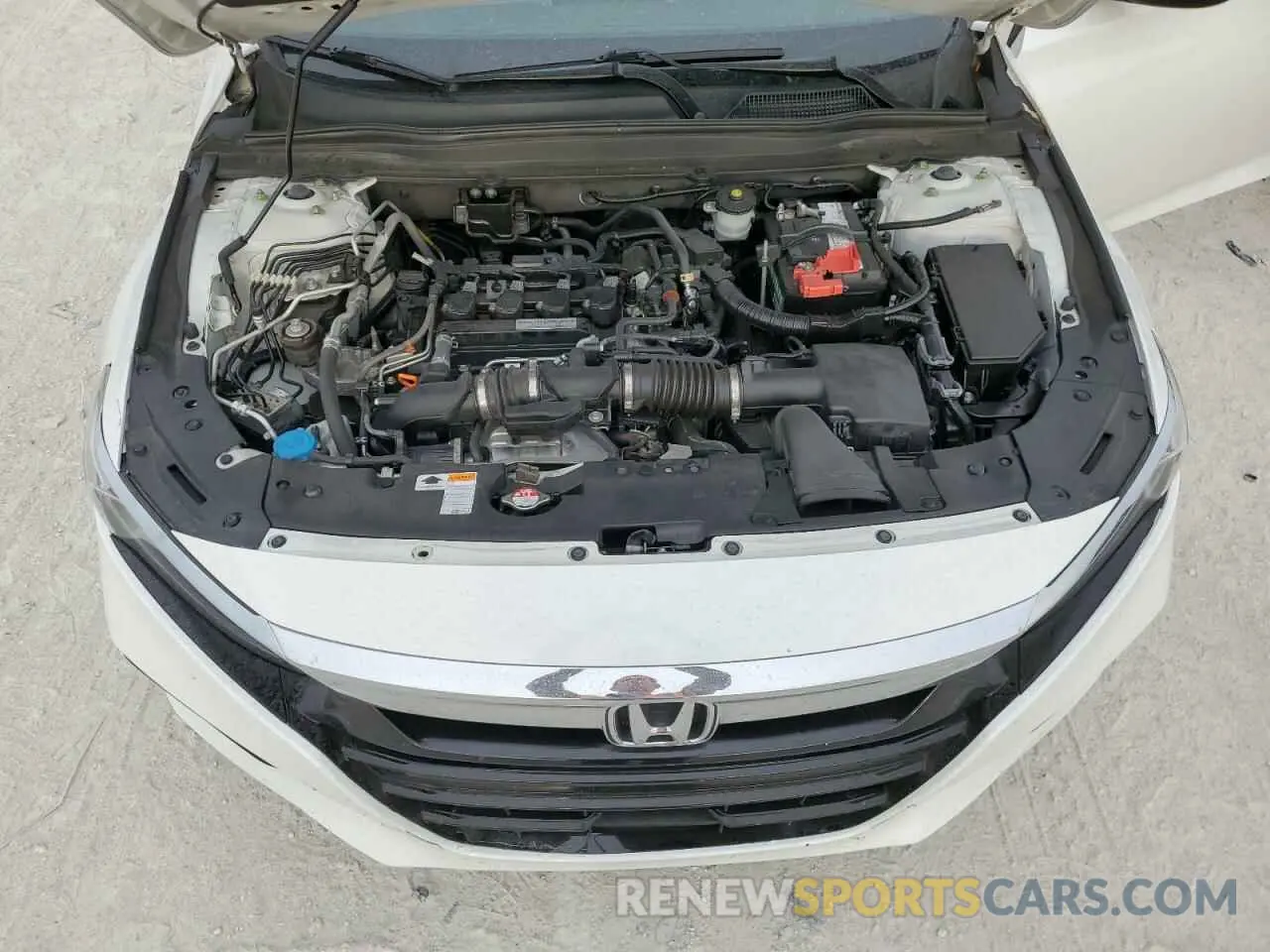 13 Photograph of a damaged car 1HGCV1F14KA155007 HONDA ACCORD 2019