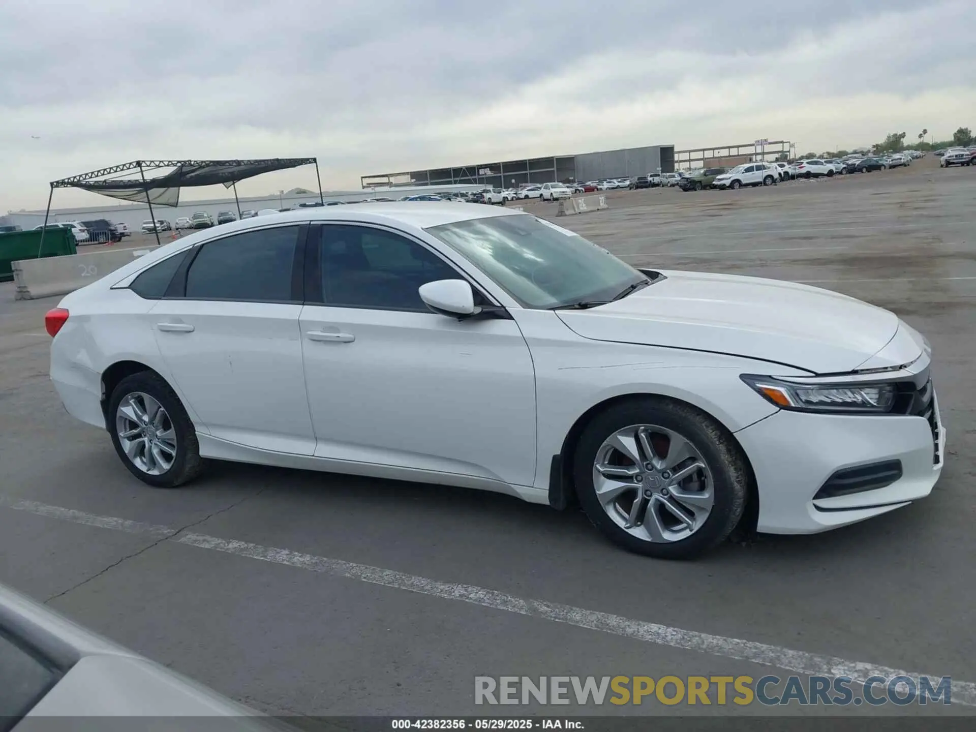 13 Photograph of a damaged car 1HGCV1F16KA097000 HONDA ACCORD 2019