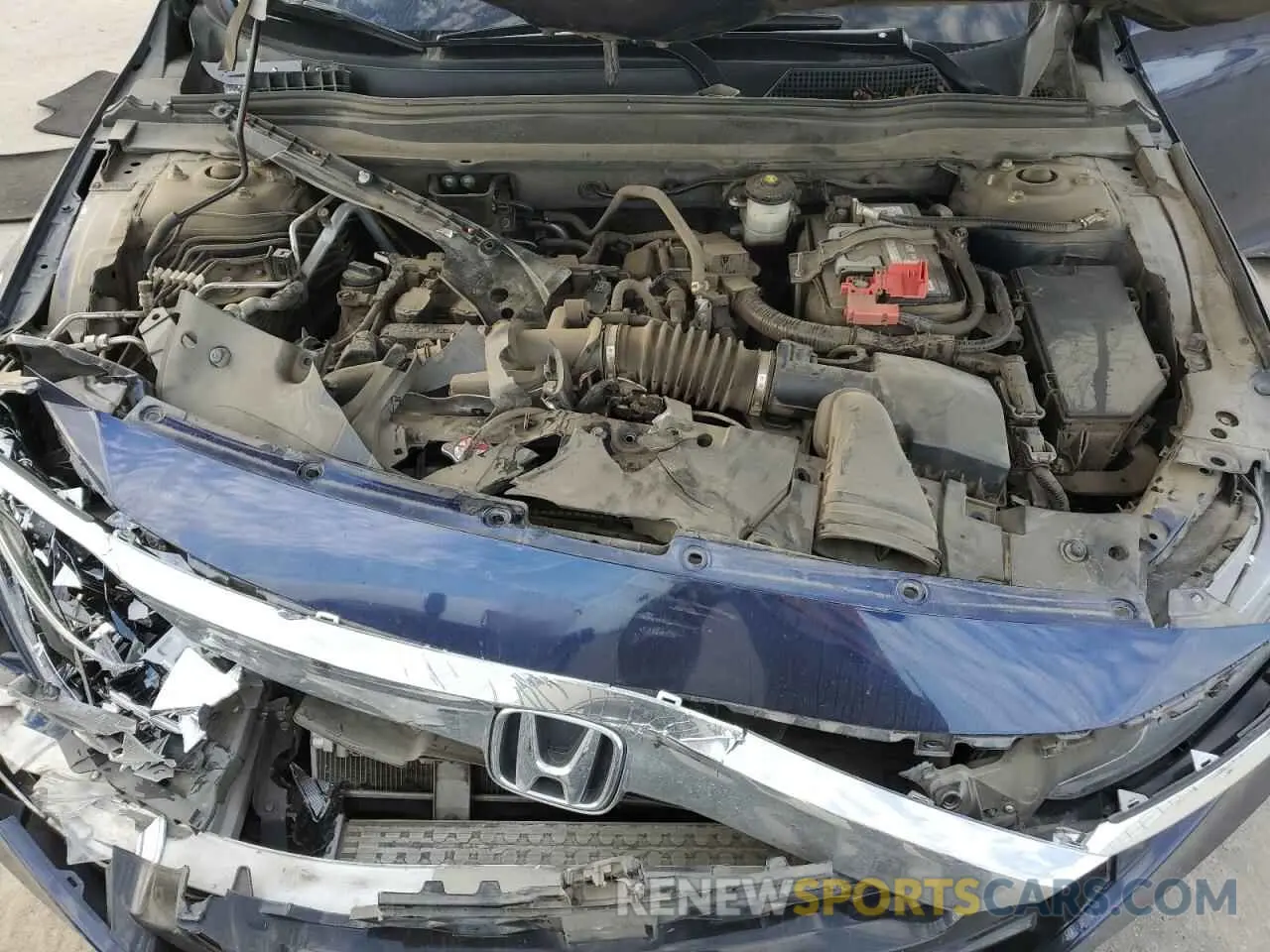 12 Photograph of a damaged car 1HGCV1F16KA146275 HONDA ACCORD 2019