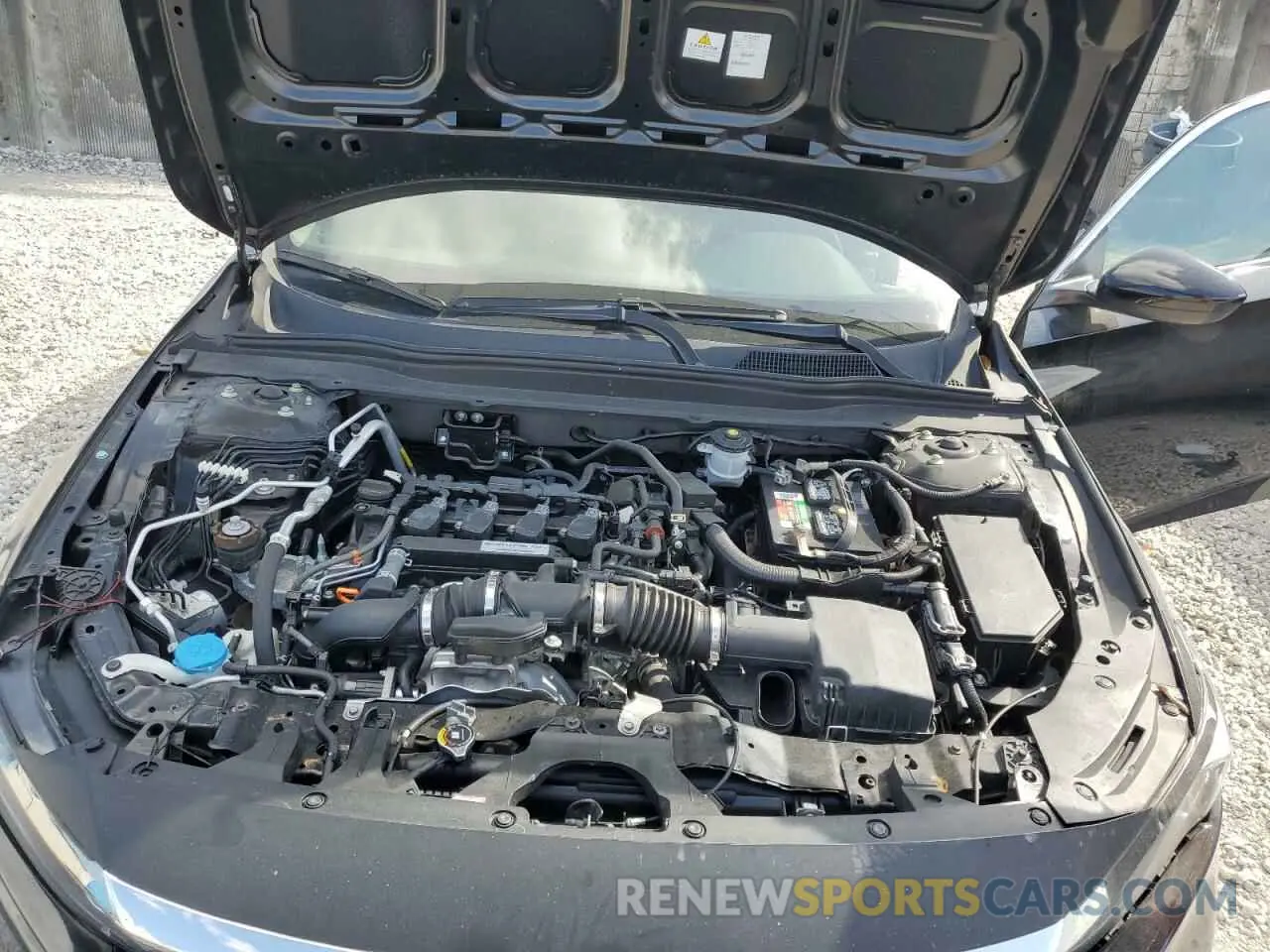 11 Photograph of a damaged car 1HGCV1F19KA019309 HONDA ACCORD 2019