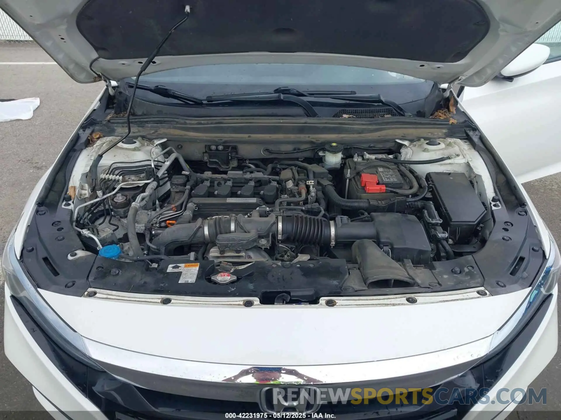 10 Photograph of a damaged car 1HGCV1F19KA081938 HONDA ACCORD 2019