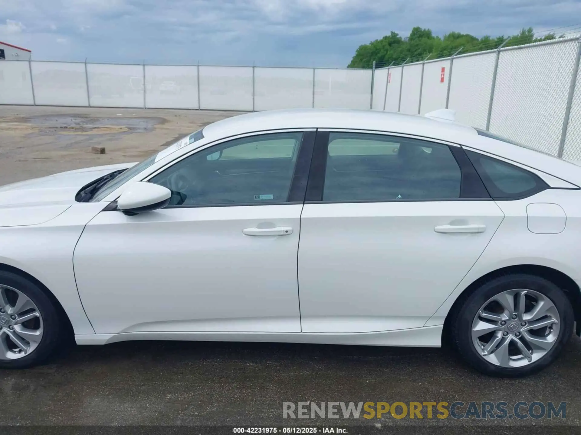 14 Photograph of a damaged car 1HGCV1F19KA081938 HONDA ACCORD 2019