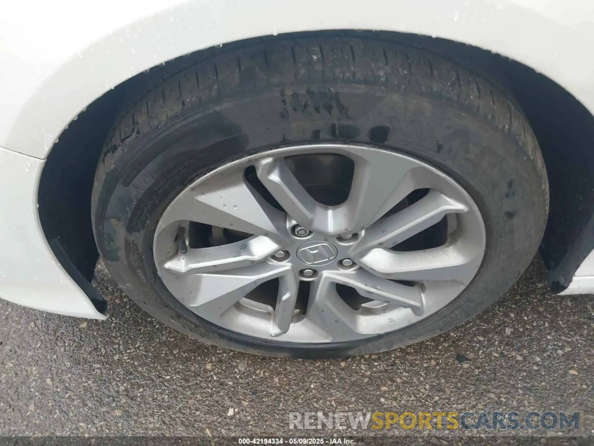 12 Photograph of a damaged car 1HGCV1F19KA128482 HONDA ACCORD 2019