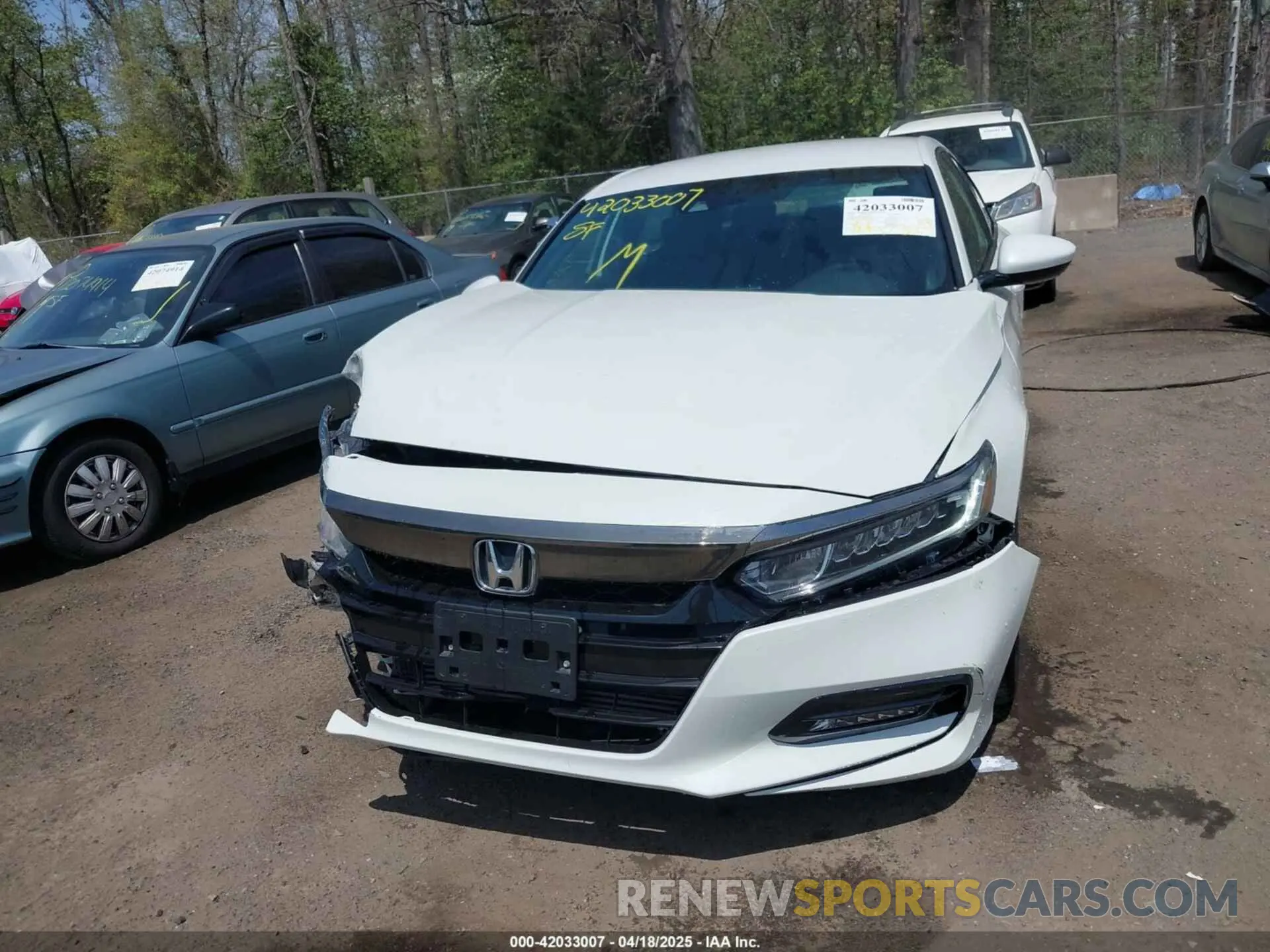 12 Photograph of a damaged car 1HGCV1F30KA128999 HONDA ACCORD 2019