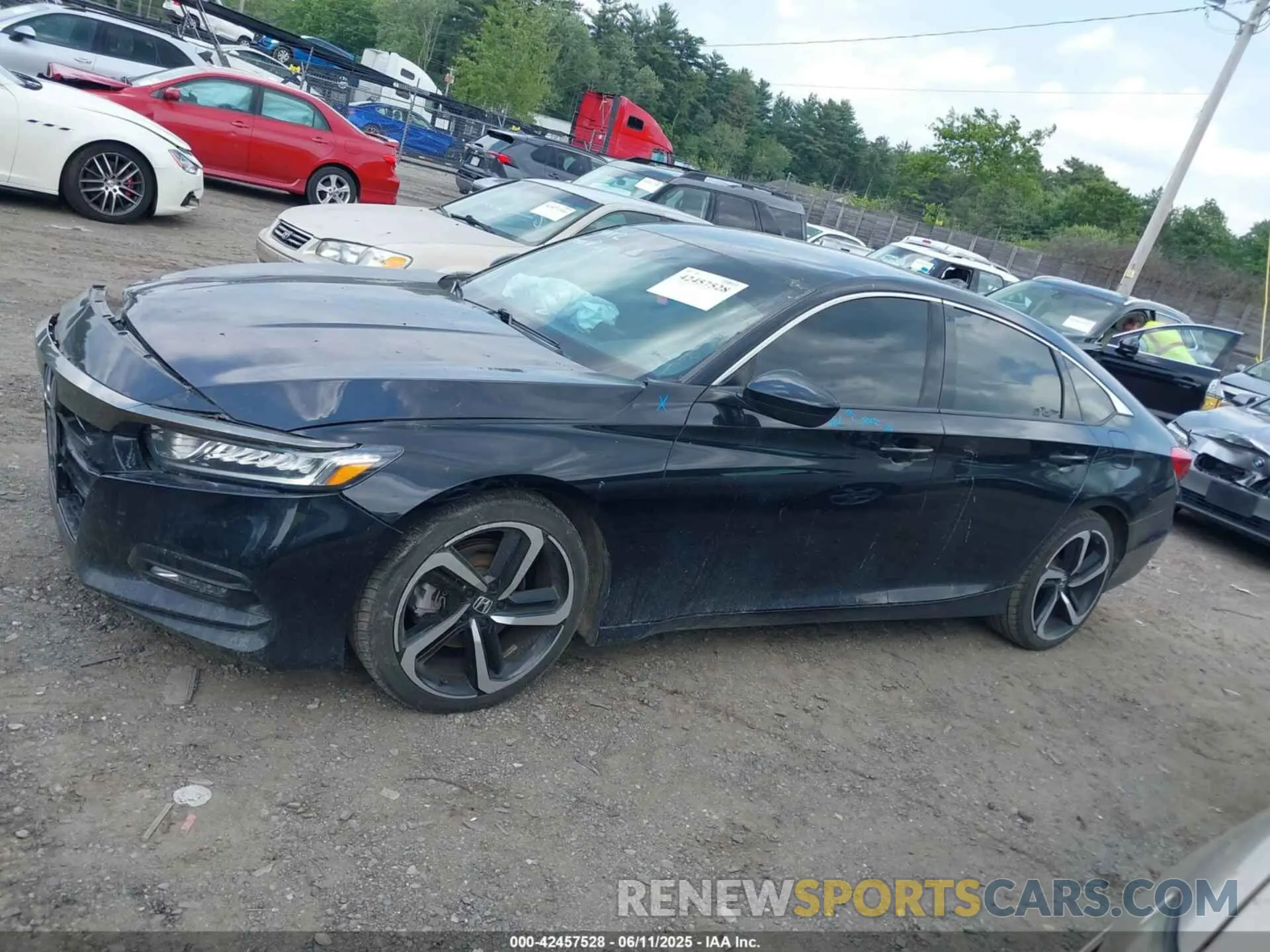 14 Photograph of a damaged car 1HGCV1F31KA040012 HONDA ACCORD 2019