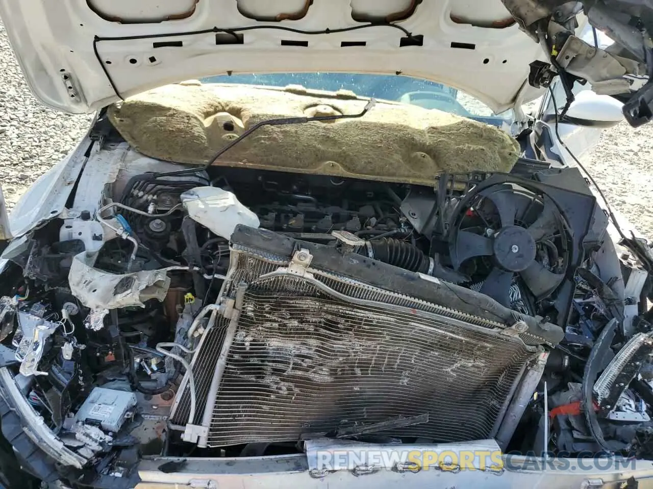 11 Photograph of a damaged car 1HGCV1F31KA107045 HONDA ACCORD 2019