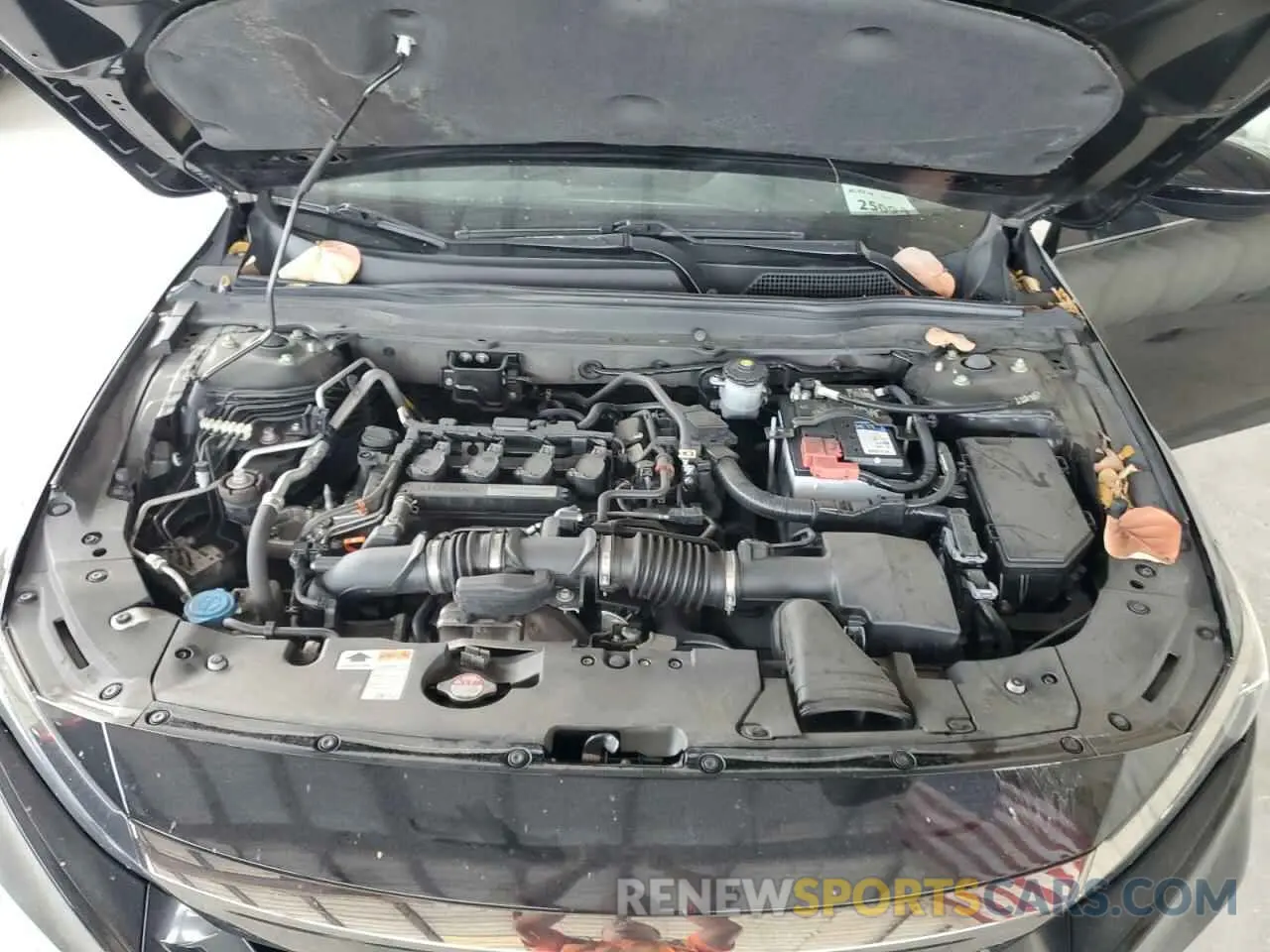 11 Photograph of a damaged car 1HGCV1F31KA155628 HONDA ACCORD 2019