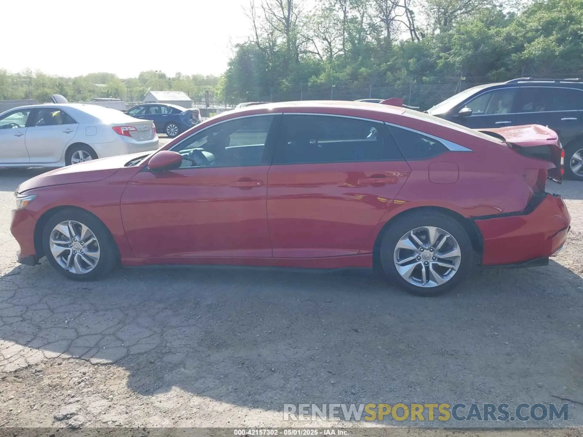 14 Photograph of a damaged car 1HGCV1F32KA034557 HONDA ACCORD 2019