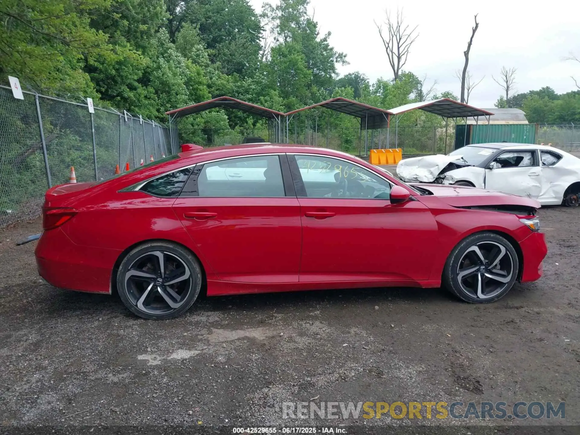 13 Photograph of a damaged car 1HGCV1F33KA084934 HONDA ACCORD 2019