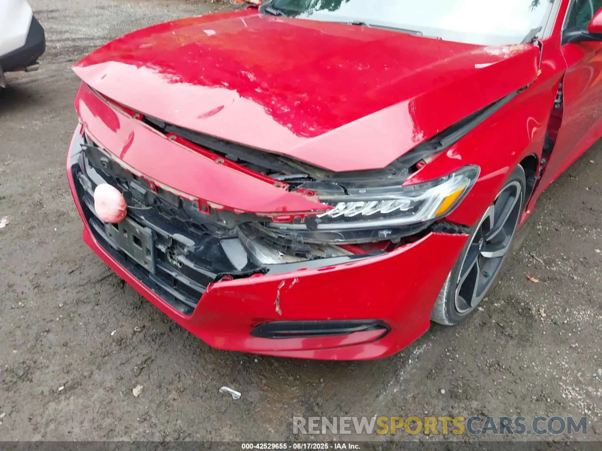6 Photograph of a damaged car 1HGCV1F33KA084934 HONDA ACCORD 2019