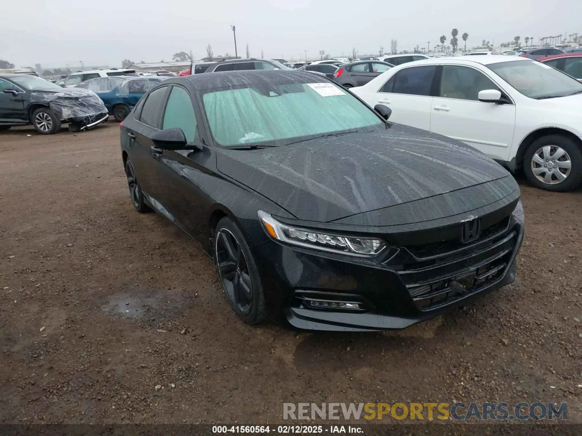 1 Photograph of a damaged car 1HGCV1F34KA078978 HONDA ACCORD 2019