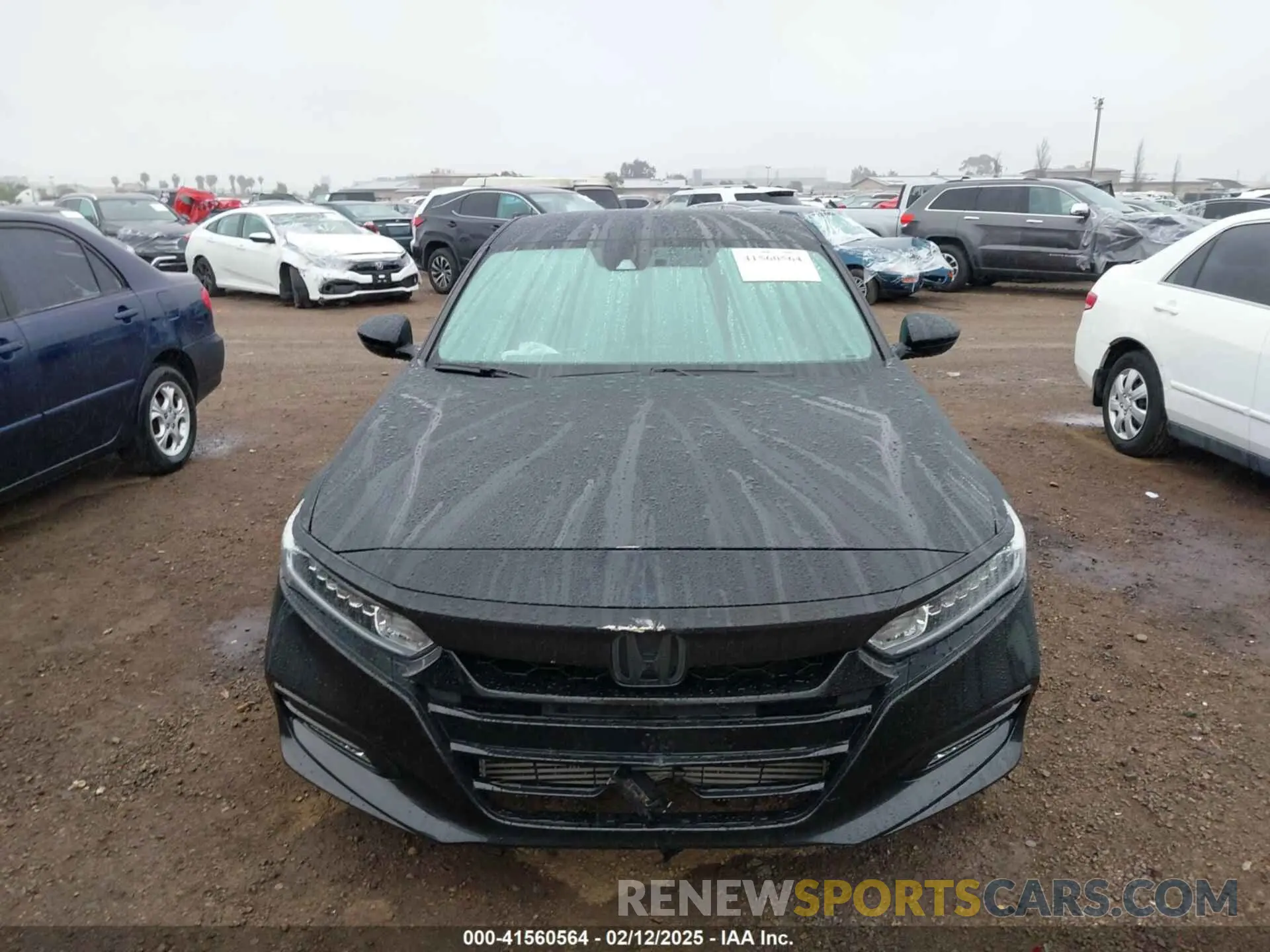 12 Photograph of a damaged car 1HGCV1F34KA078978 HONDA ACCORD 2019