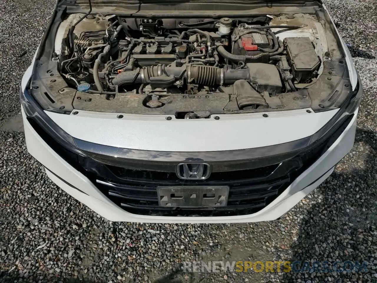 11 Photograph of a damaged car 1HGCV1F34KA086529 HONDA ACCORD 2019
