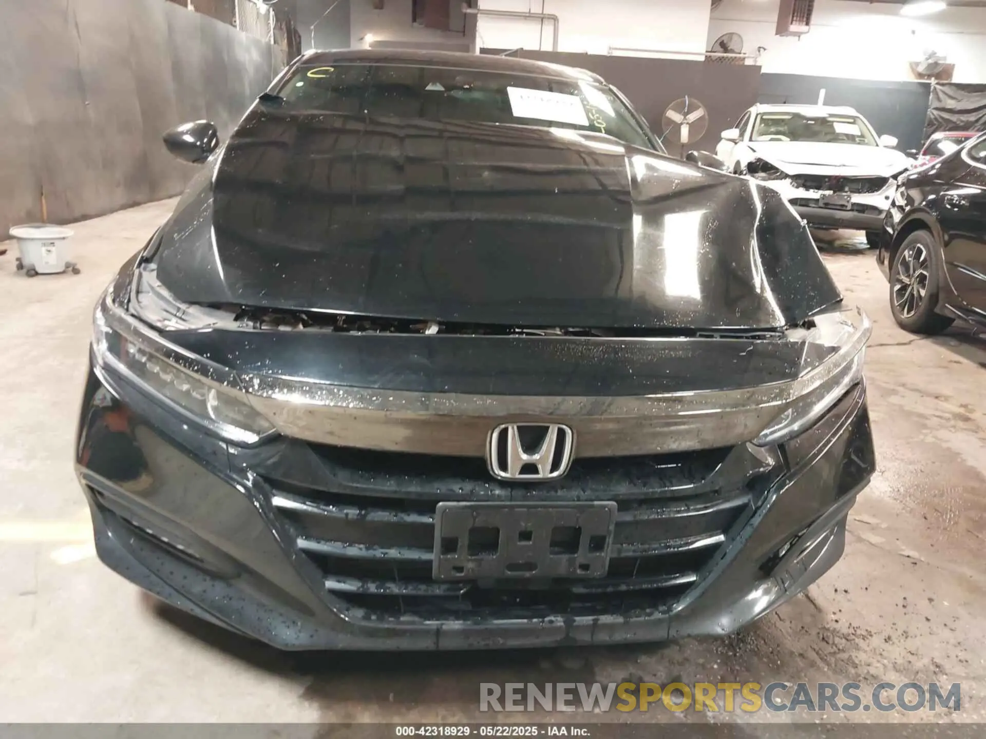 12 Photograph of a damaged car 1HGCV1F35KA005750 HONDA ACCORD 2019
